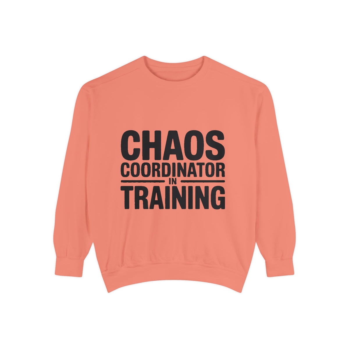 Chaos Coordinator In Training Sweatshirt, Funny Mom Crewneck, Embroidered Style Bold Text Sweatshirt, Teacher Nurse Gift
