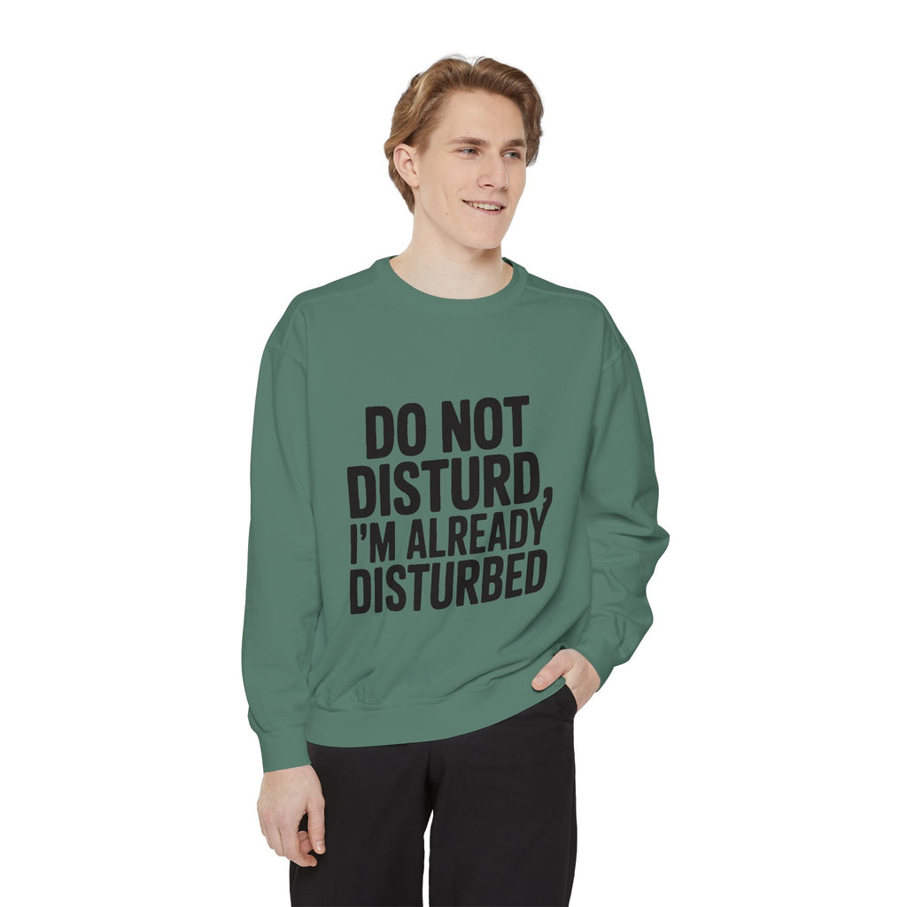 Do Not Disturb Already Disturbed Sweatshirt, Funny Sarcastic Crewneck, Embroidered Patch Style Pullover, Introvert Gift