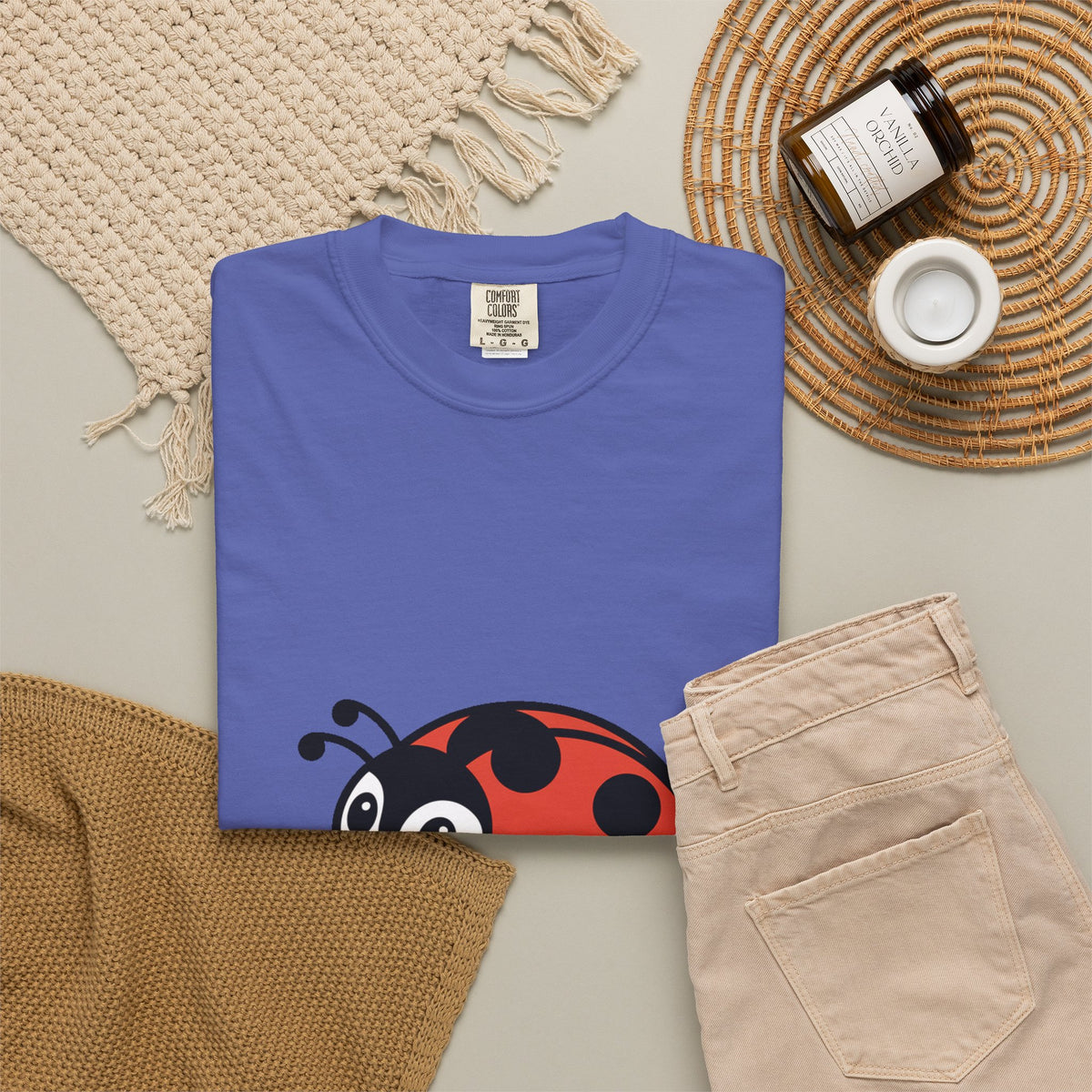 Cute Ladybug T-Shirt, Ladybug On A Leaf Shirt, Garden Bug Lover Gift, Nature Insect Graphic Tee, Kids Ladybug Shirt