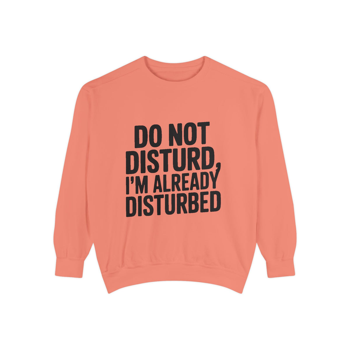 Do Not Disturb Already Disturbed Sweatshirt, Funny Sarcastic Crewneck, Embroidered Patch Style Pullover, Introvert Gift