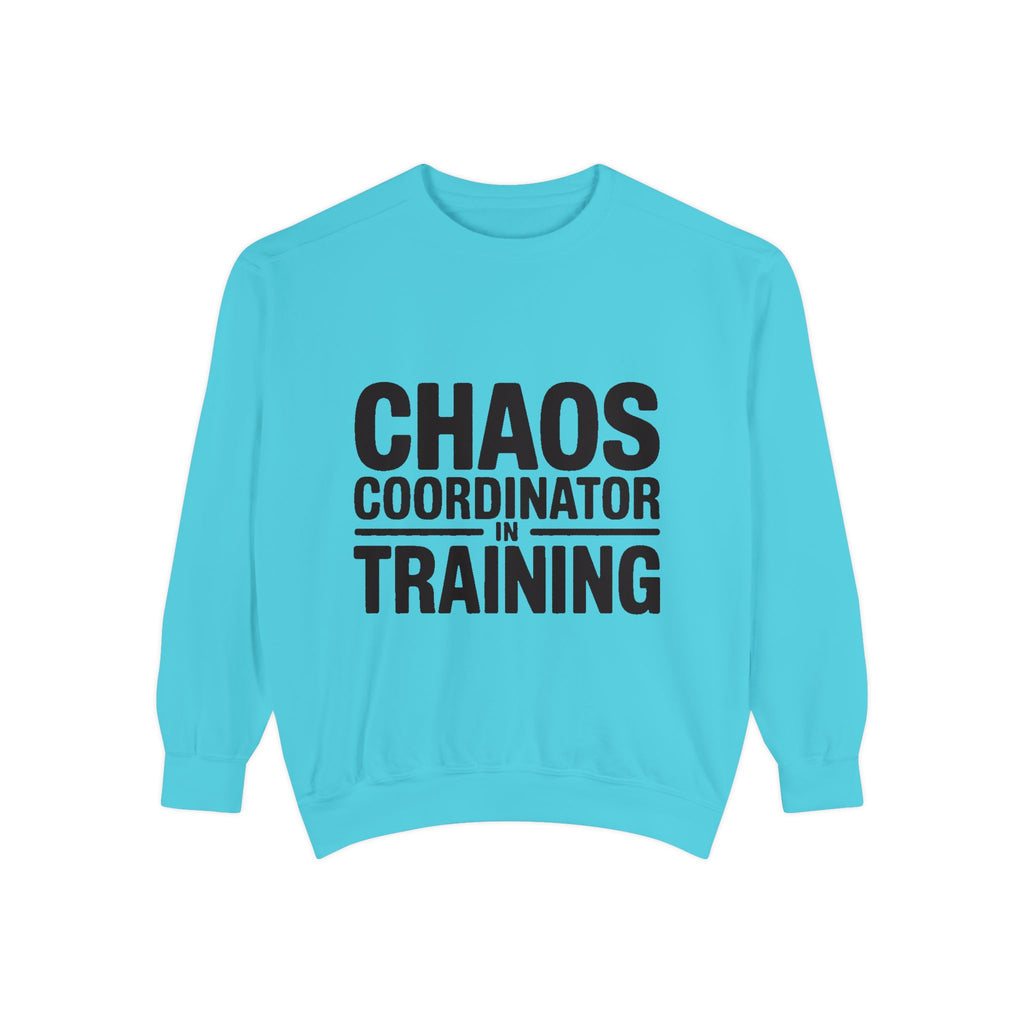 Chaos Coordinator In Training Sweatshirt, Funny Mom Crewneck, Embroidered Style Bold Text Sweatshirt, Teacher Nurse Gift