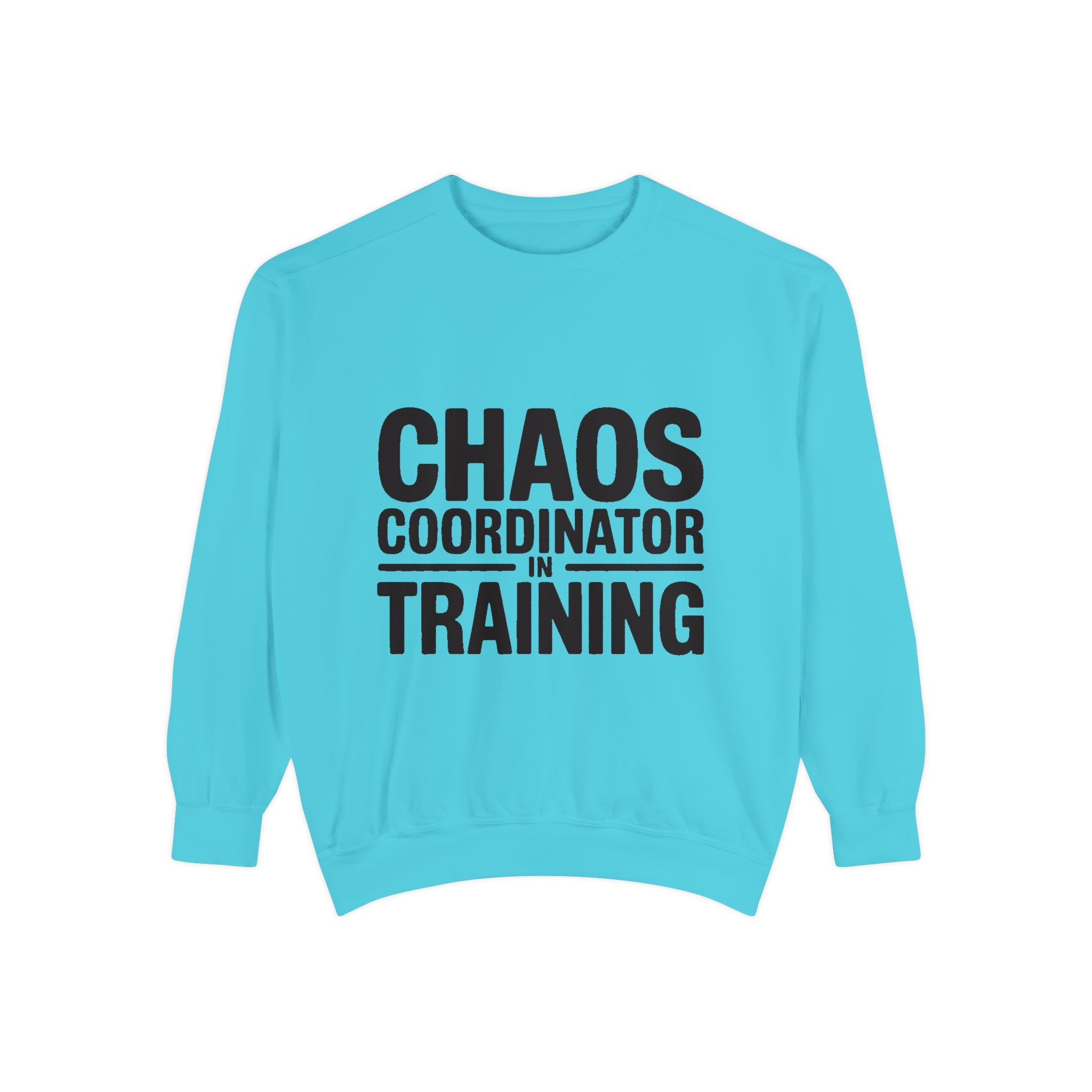 Chaos Coordinator In Training Sweatshirt, Funny Mom Crewneck, Embroidered Style Bold Text Sweatshirt, Teacher Nurse Gift