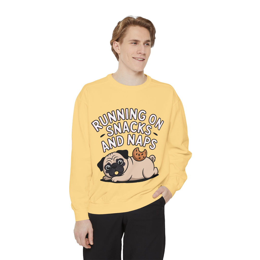 Pug Sweatshirt, Funny Running On Snacks And Naps Crewneck, Cute Pug Lover Gift, Embroidered Patch Style Dog Sweater