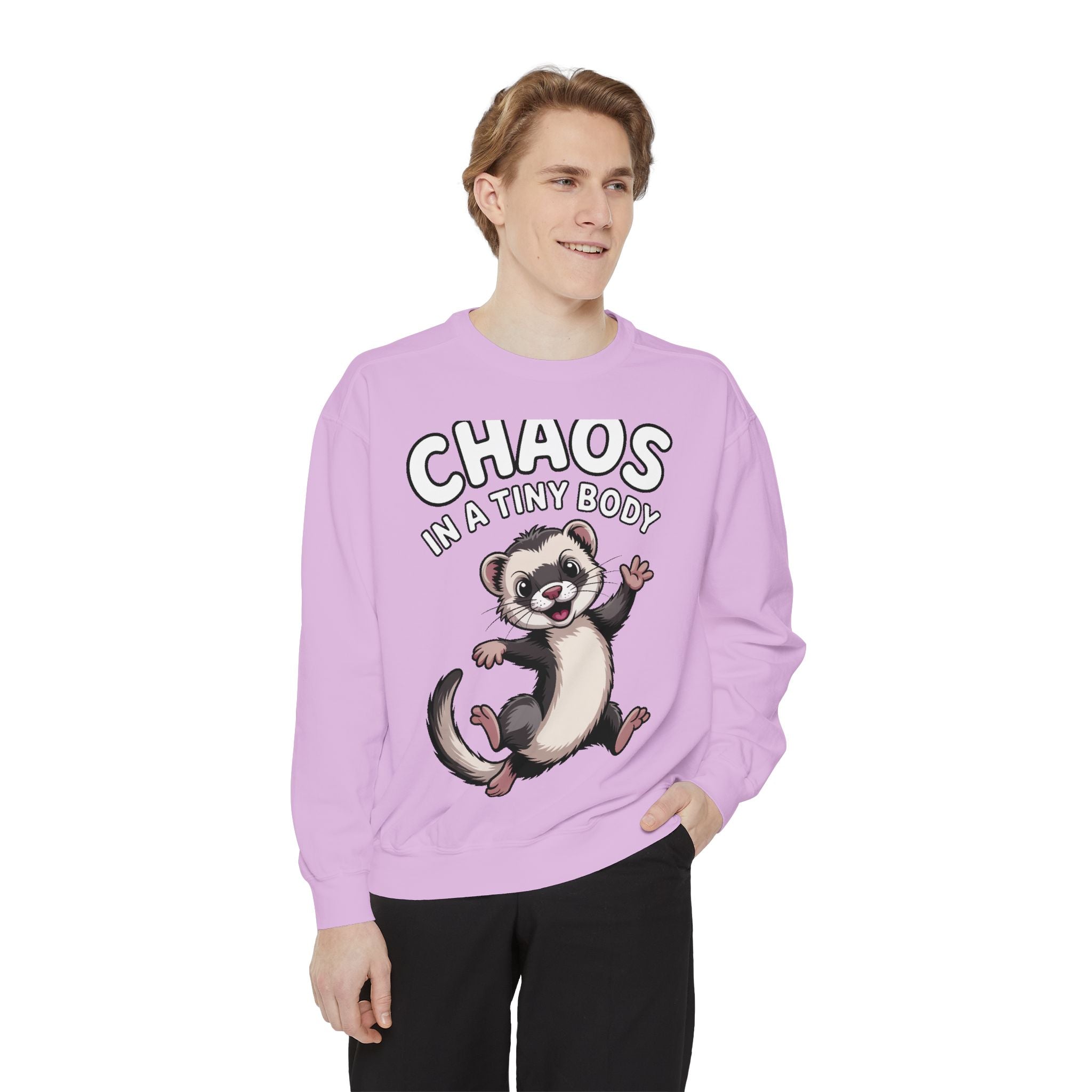 Funny Ferret Sweatshirt, Chaos In A Tiny Body Crewneck, Cute Ferret Lover Gift, Embroidered Style Ferret Sweatshirt For Pet Owners