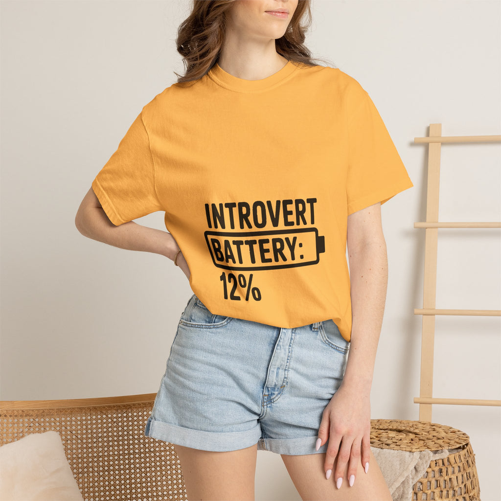 Introvert Battery Low Shirt, Funny Introvert Battery 12% Tee, Social Anxiety Humor T-Shirt, Sarcastic Gift for Introverts