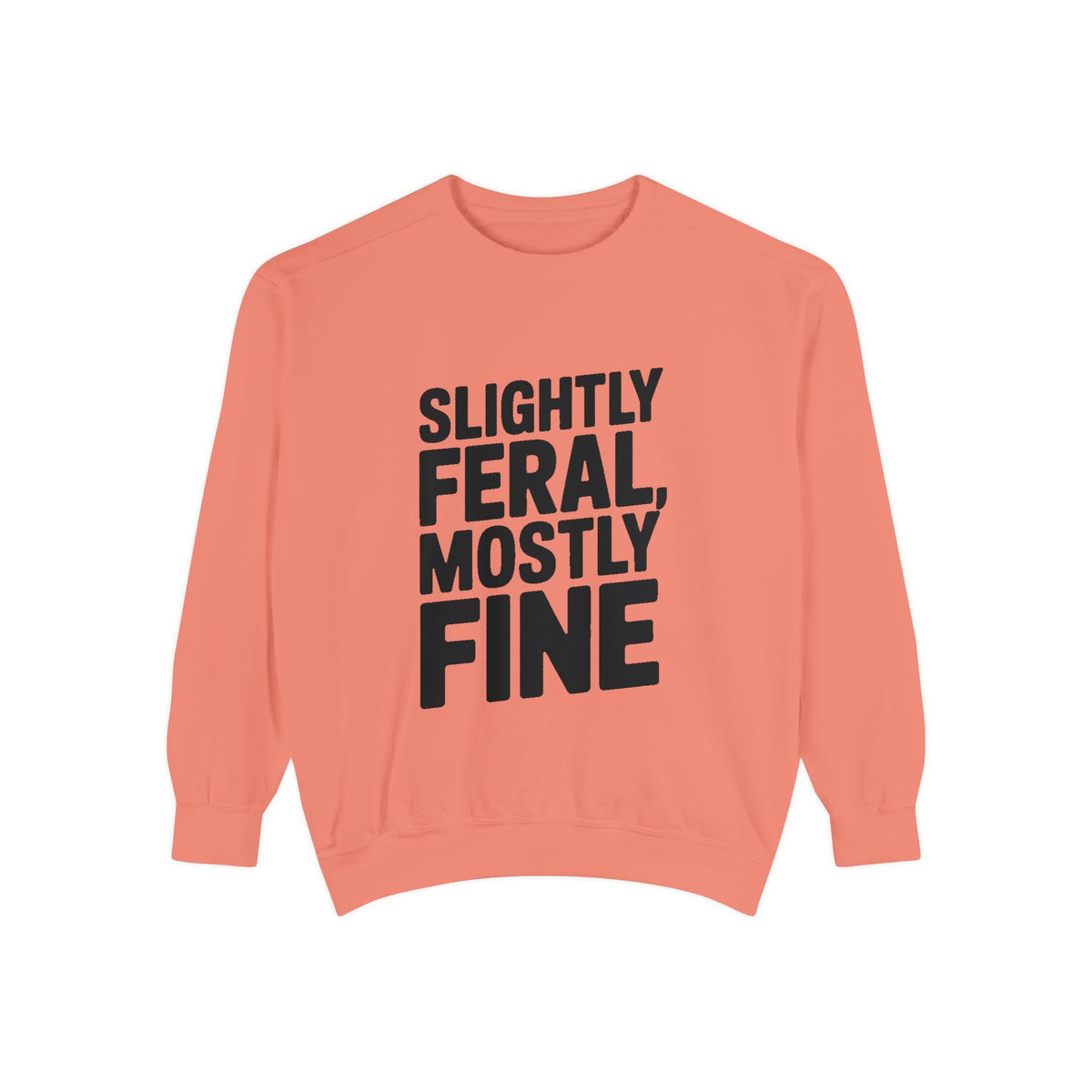 Slightly Feral Mostly Fine Sweatshirt, Funny Embroidered Crewneck, Sarcastic Quote Sweatshirt, Minimalist Text Gift for Her