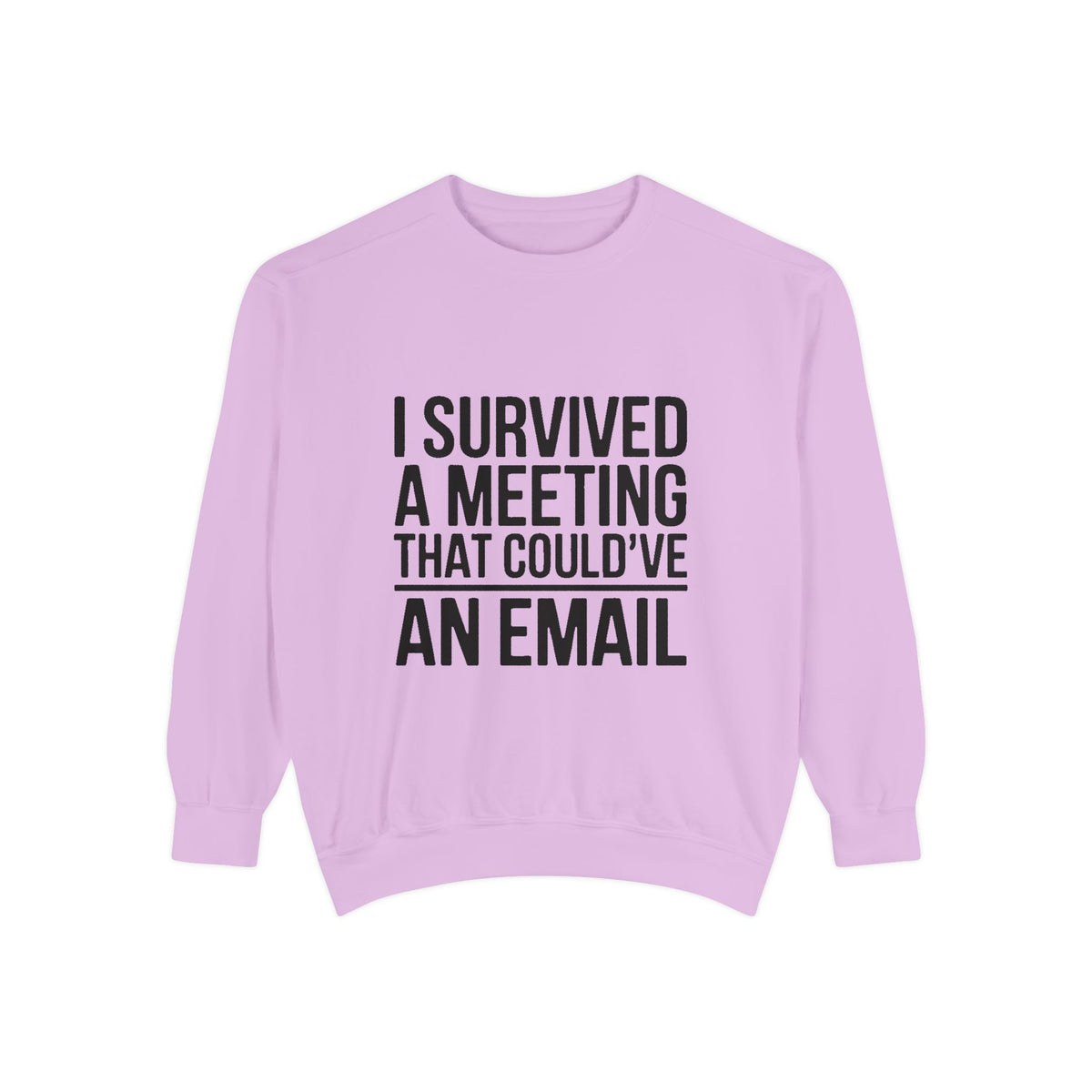 I Survived A Meeting That Could've Been An Email Sweatshirt, Funny Office Crewneck, Sarcastic Coworker Gift, Corporate Humor Sweater