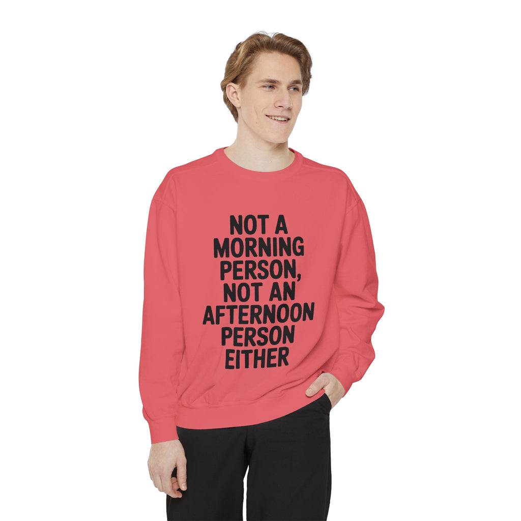 Not A Morning Person Sweatshirt, Funny Sarcastic Crewneck, Anti Morning Afternoon Person Shirt, Introvert Humor Gift