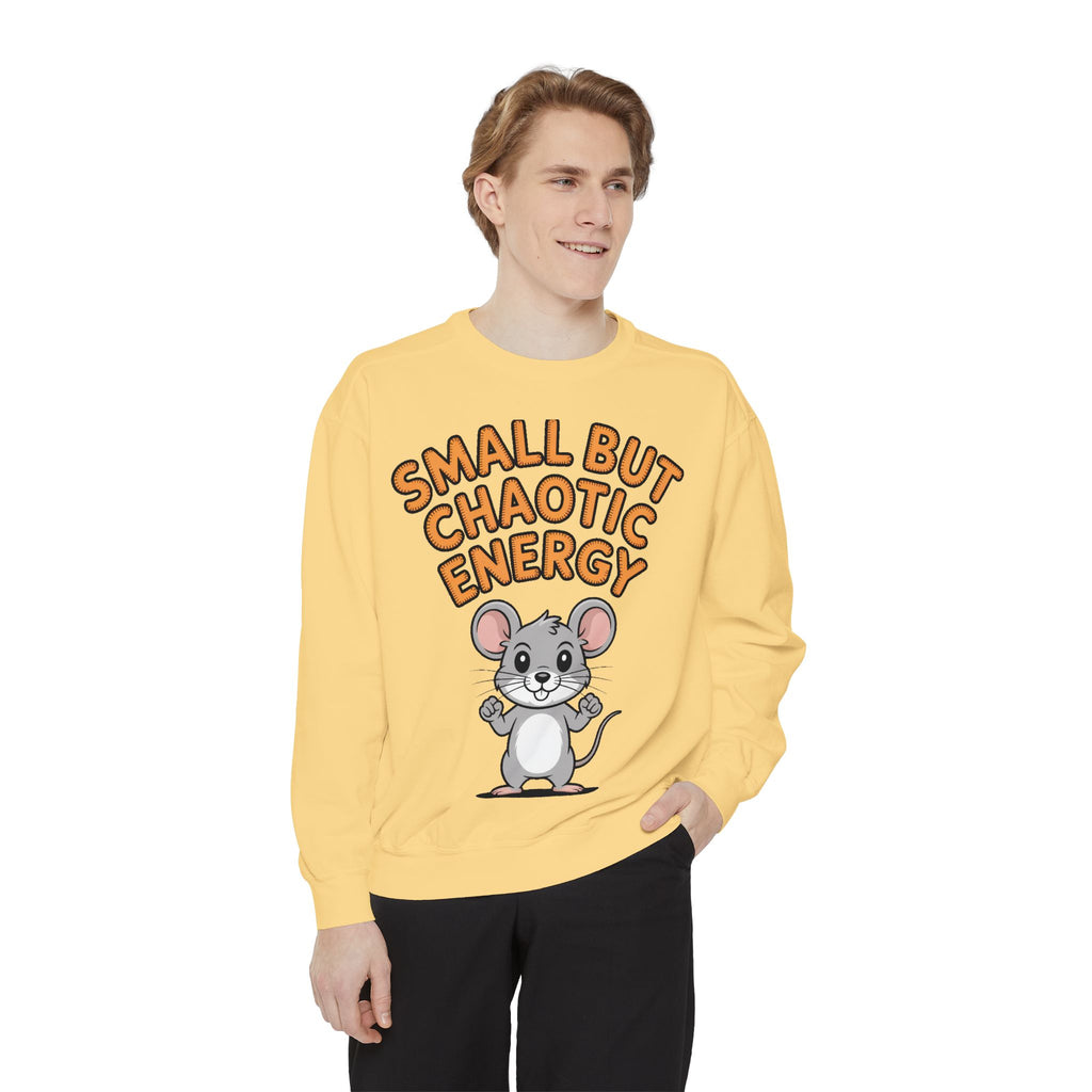 Small But Chaotic Energy Sweatshirt, Funny Mouse Crewneck, Cute Cartoon Mouse Sweatshirt, Embroidered Patch Style Gift