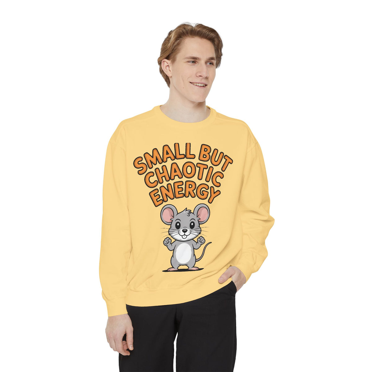 Small But Chaotic Energy Sweatshirt, Funny Mouse Crewneck, Cute Cartoon Mouse Sweatshirt, Embroidered Patch Style Gift