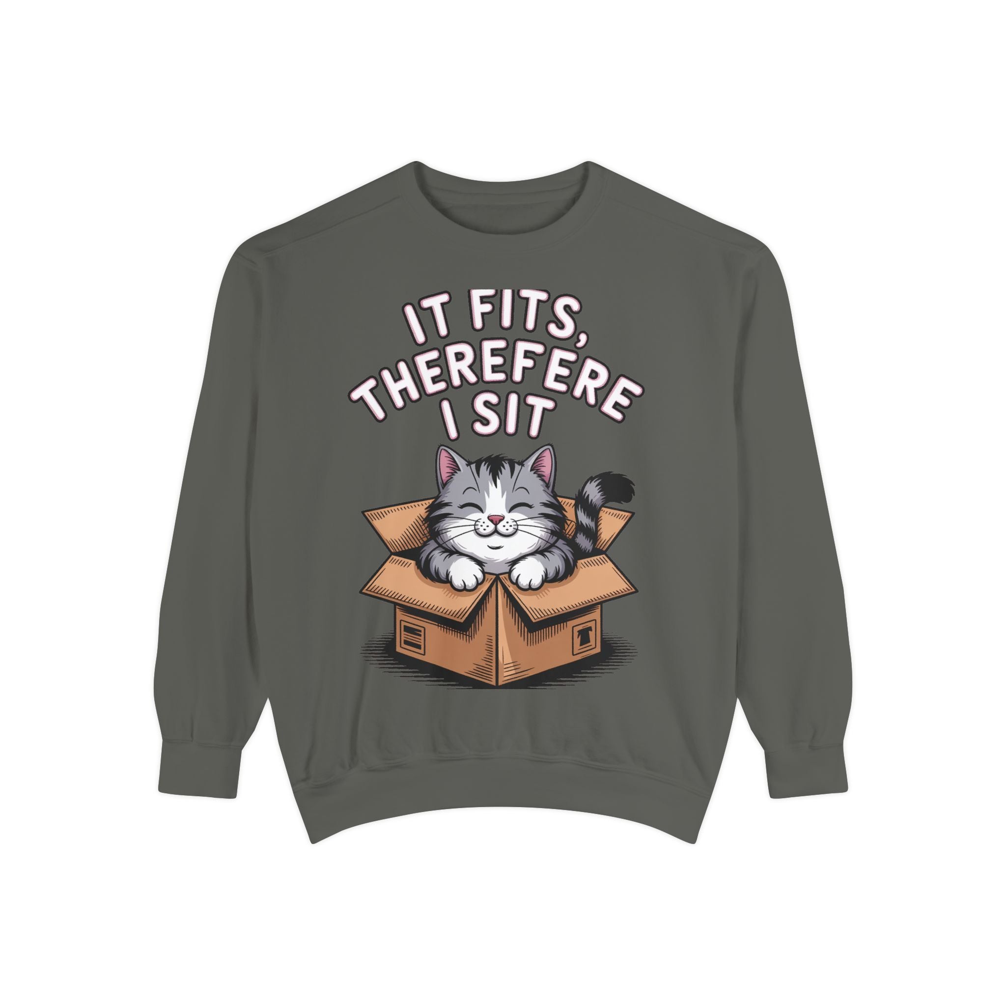 Funny Cat Sweatshirt, It Fits Therefore I Sit Crewneck, Cat In Box Embroidered Sweatshirt, Cat Lover Gift, Funny Cat Lover Sweater