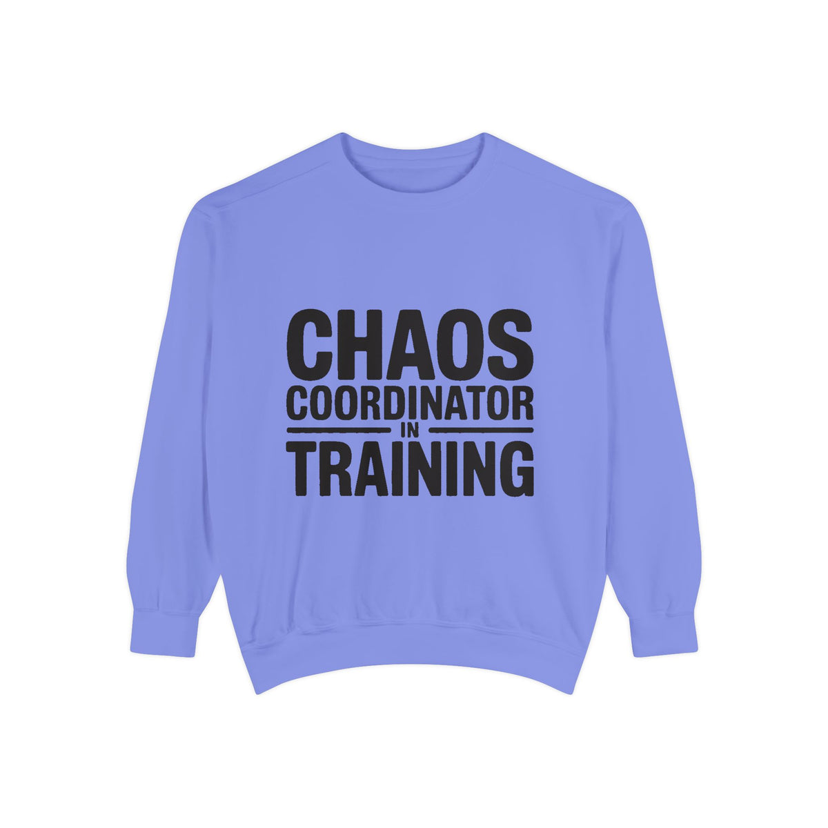 Chaos Coordinator In Training Sweatshirt, Funny Mom Crewneck, Embroidered Style Bold Text Sweatshirt, Teacher Nurse Gift