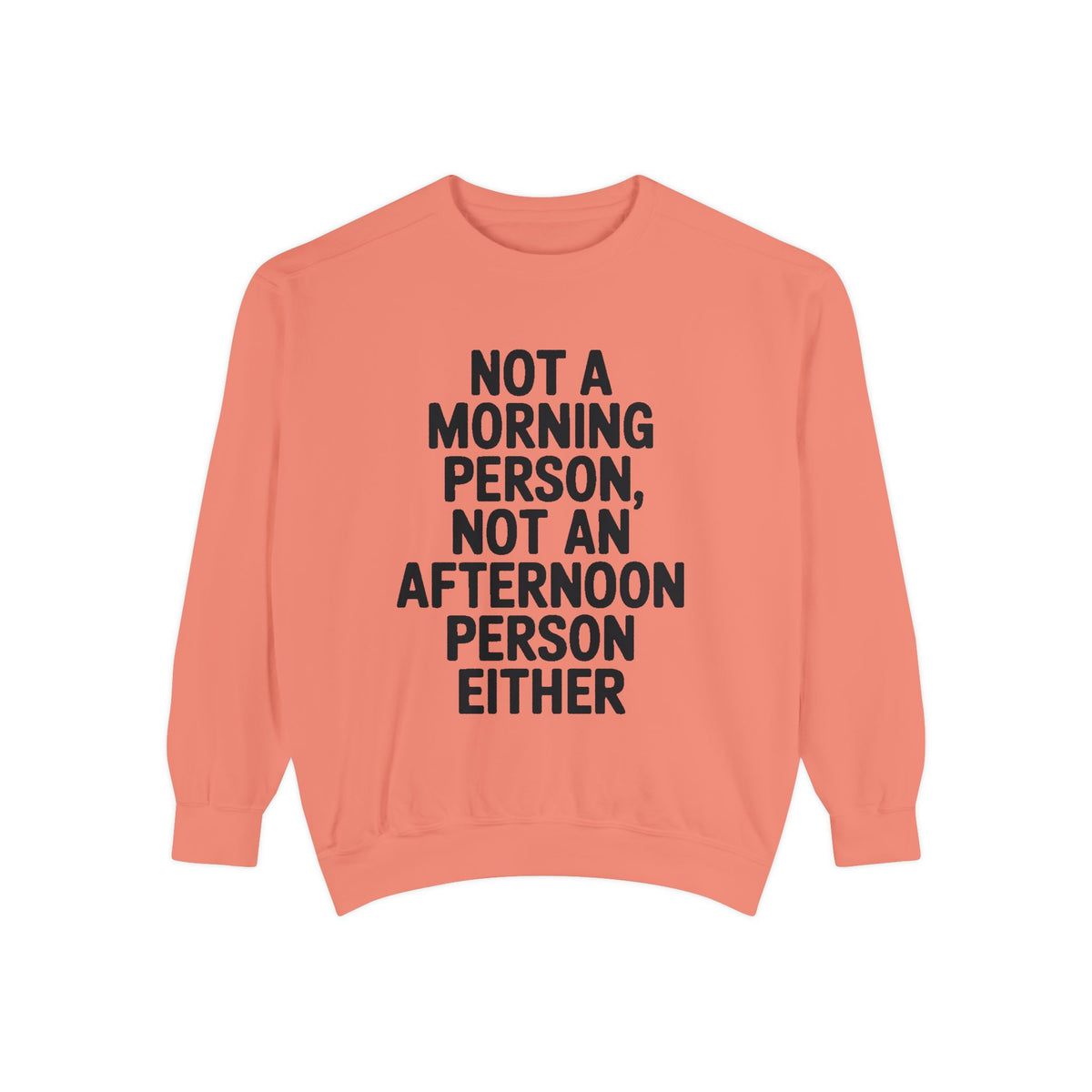 Not A Morning Person Sweatshirt, Funny Sarcastic Crewneck, Anti Morning Afternoon Person Shirt, Introvert Humor Gift