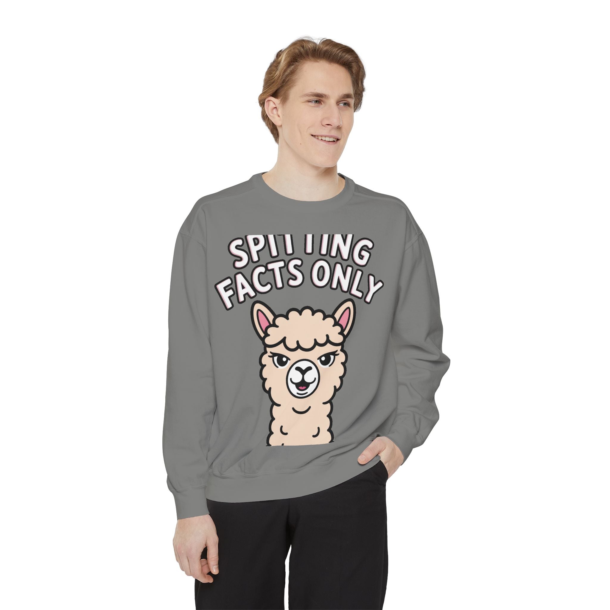 Alpaca Spitting Facts Sweatshirt, Funny Sassy Alpaca Crewneck, Cute Embroidered-Style Animal Sweatshirt, Alpaca Lover Gift