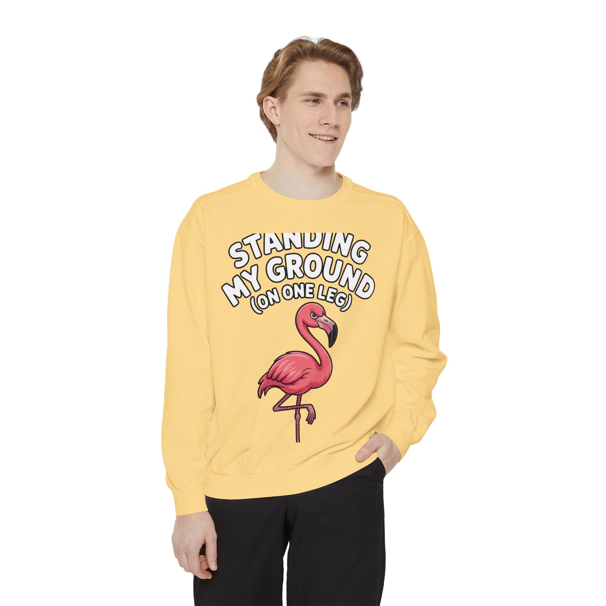 Standing My Ground Flamingo Sweatshirt, Funny One Leg Flamingo Crewneck, Sassy Bird Lover Gift, Embroidered Patch Style Sweatshirt