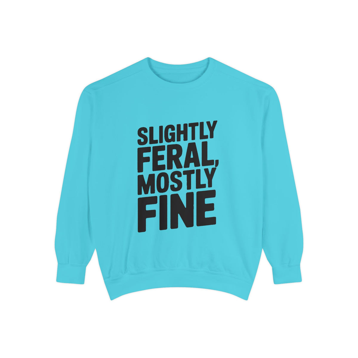 Slightly Feral Mostly Fine Sweatshirt, Funny Embroidered Crewneck, Sarcastic Quote Sweatshirt, Minimalist Text Gift for Her