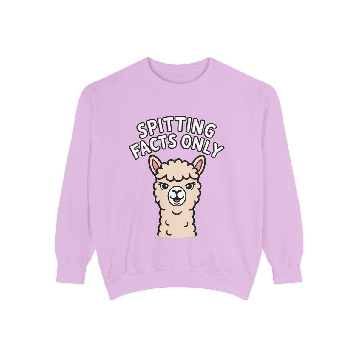 Alpaca Spitting Facts Sweatshirt, Funny Sassy Alpaca Crewneck, Cute Embroidered-Style Animal Sweatshirt, Alpaca Lover Gift
