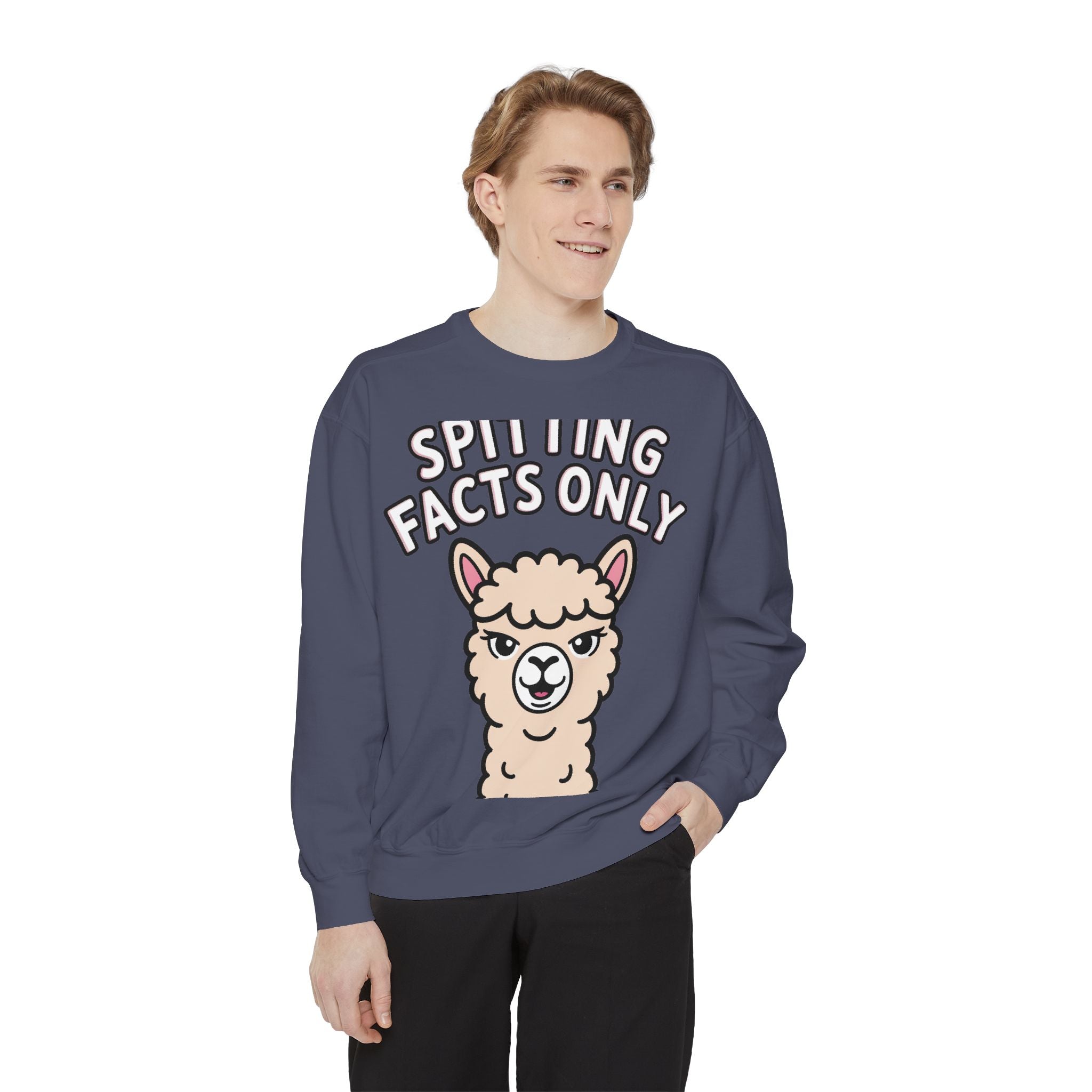 Alpaca Spitting Facts Sweatshirt, Funny Sassy Alpaca Crewneck, Cute Embroidered-Style Animal Sweatshirt, Alpaca Lover Gift
