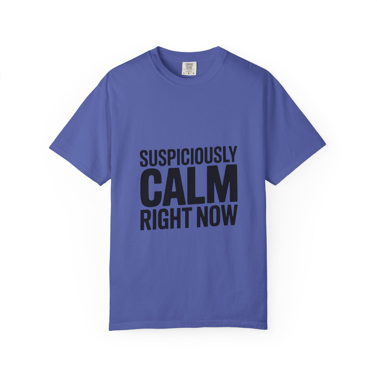 Suspiciously Calm Right Now Shirt, Funny Sarcastic T-Shirt, Bold Typography Tee, Anxiety Humor Shirt, Sarcastic Gift for Him Her
