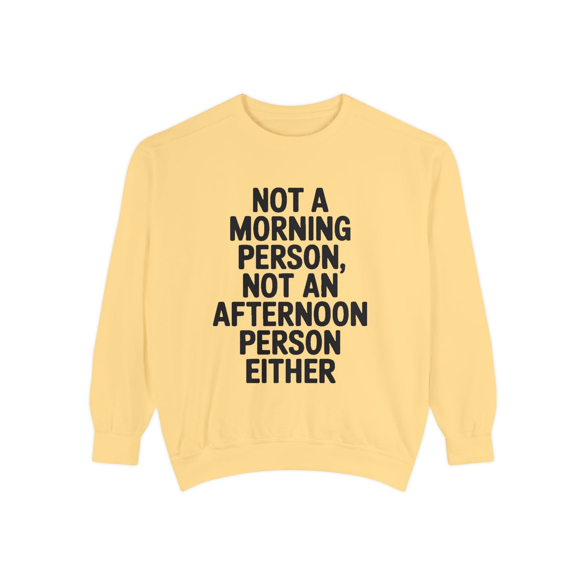 Not A Morning Person Sweatshirt, Funny Sarcastic Crewneck, Anti Morning Afternoon Person Shirt, Introvert Humor Gift