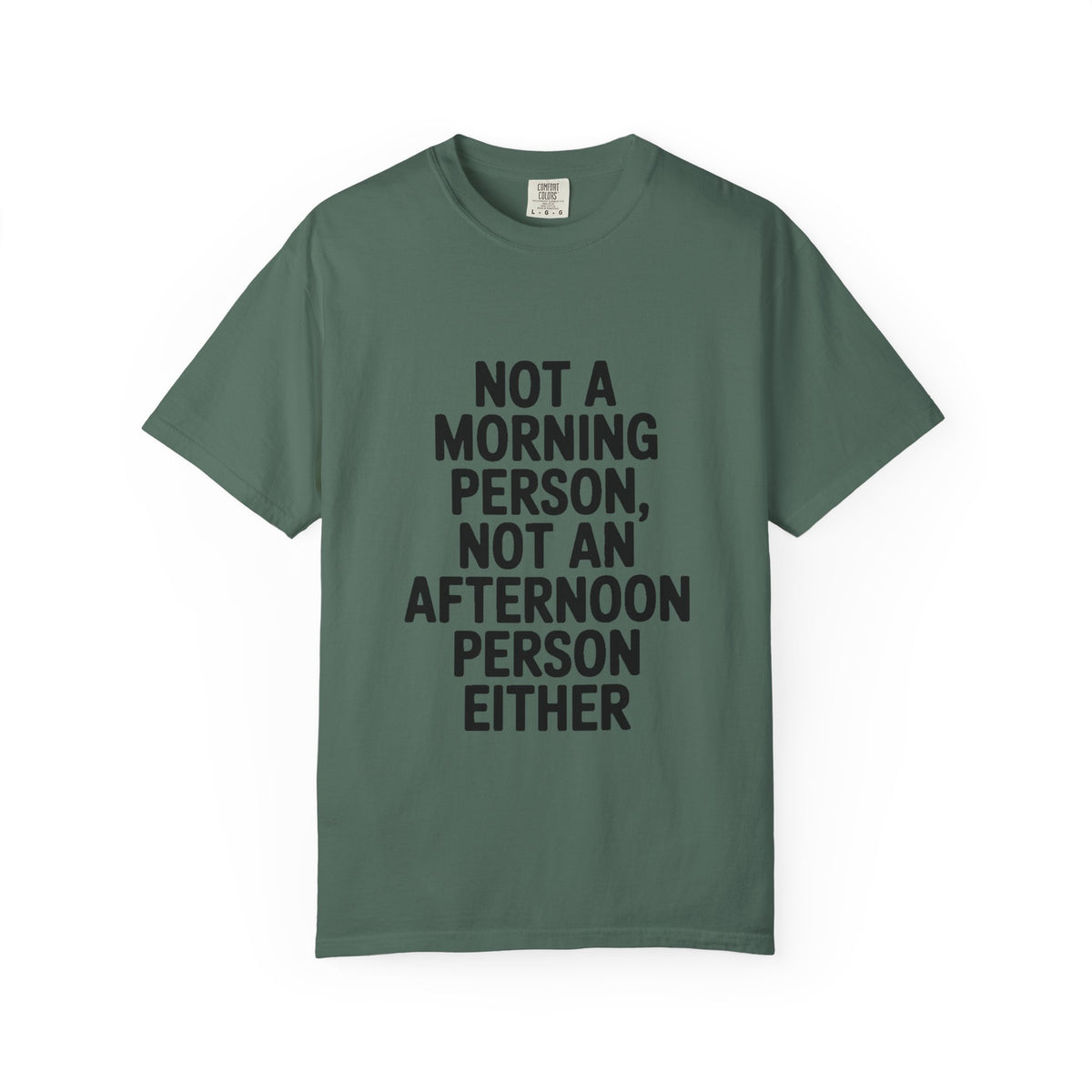 Not A Morning Person Shirt, Funny Sarcastic T-Shirt, Not An Afternoon Person Either Tee, Anti Social Gift