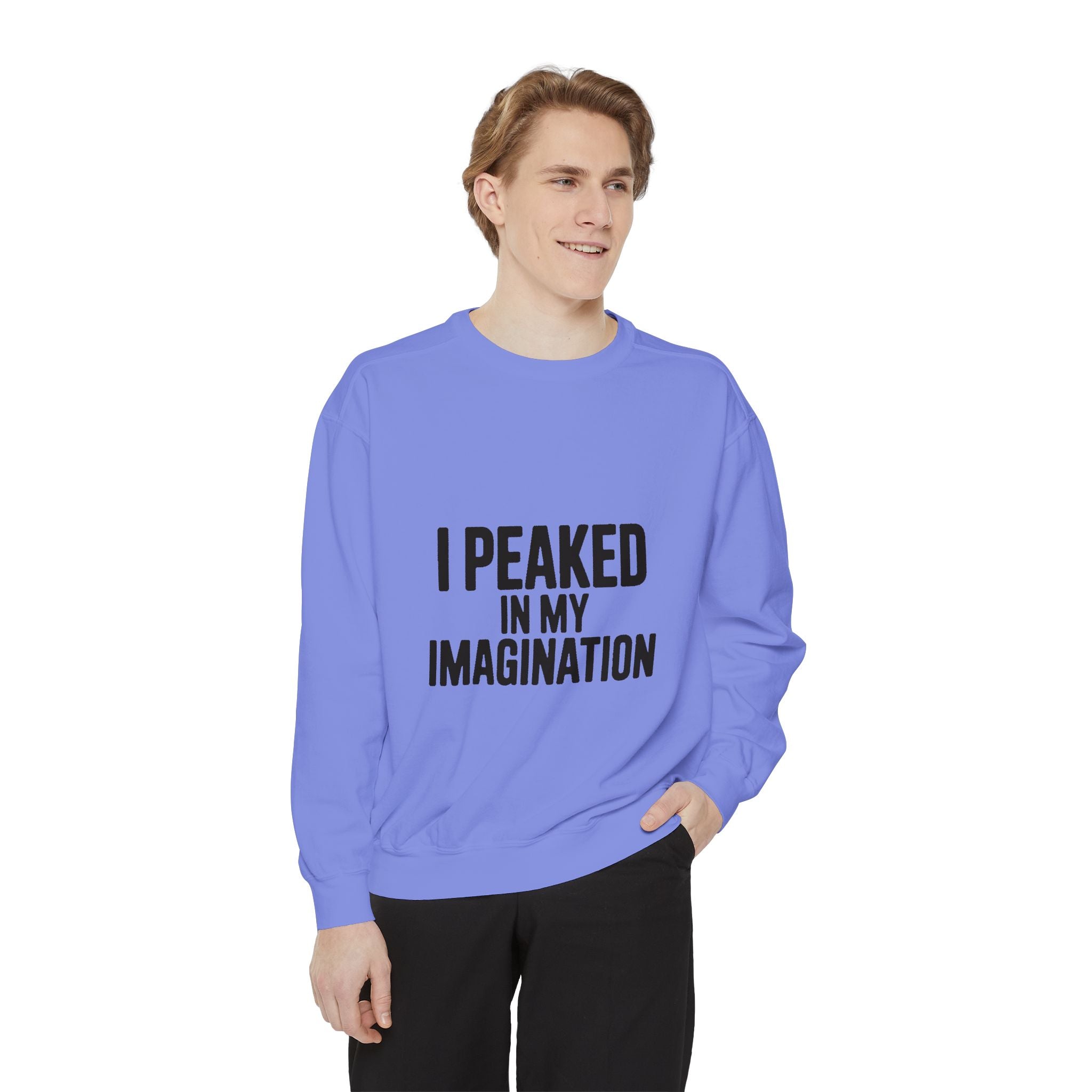 I Peaked In My Imagination Sweatshirt, Funny Sarcastic Crewneck, Bold Typography Embroidered Sweatshirt, Daydreamer Gift