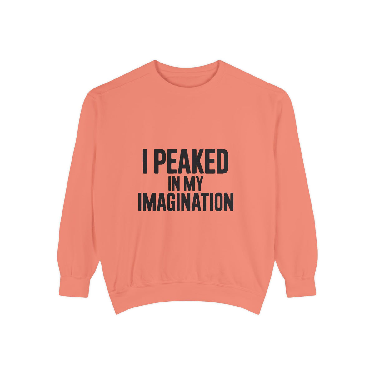 I Peaked In My Imagination Sweatshirt, Funny Sarcastic Crewneck, Bold Typography Embroidered Sweatshirt, Daydreamer Gift
