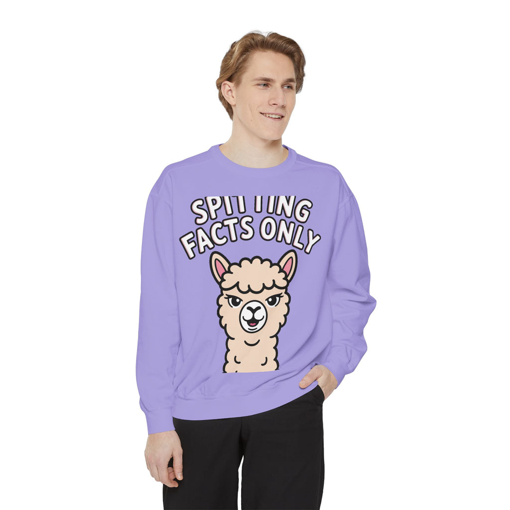 Alpaca Spitting Facts Sweatshirt, Funny Sassy Alpaca Crewneck, Cute Embroidered-Style Animal Sweatshirt, Alpaca Lover Gift