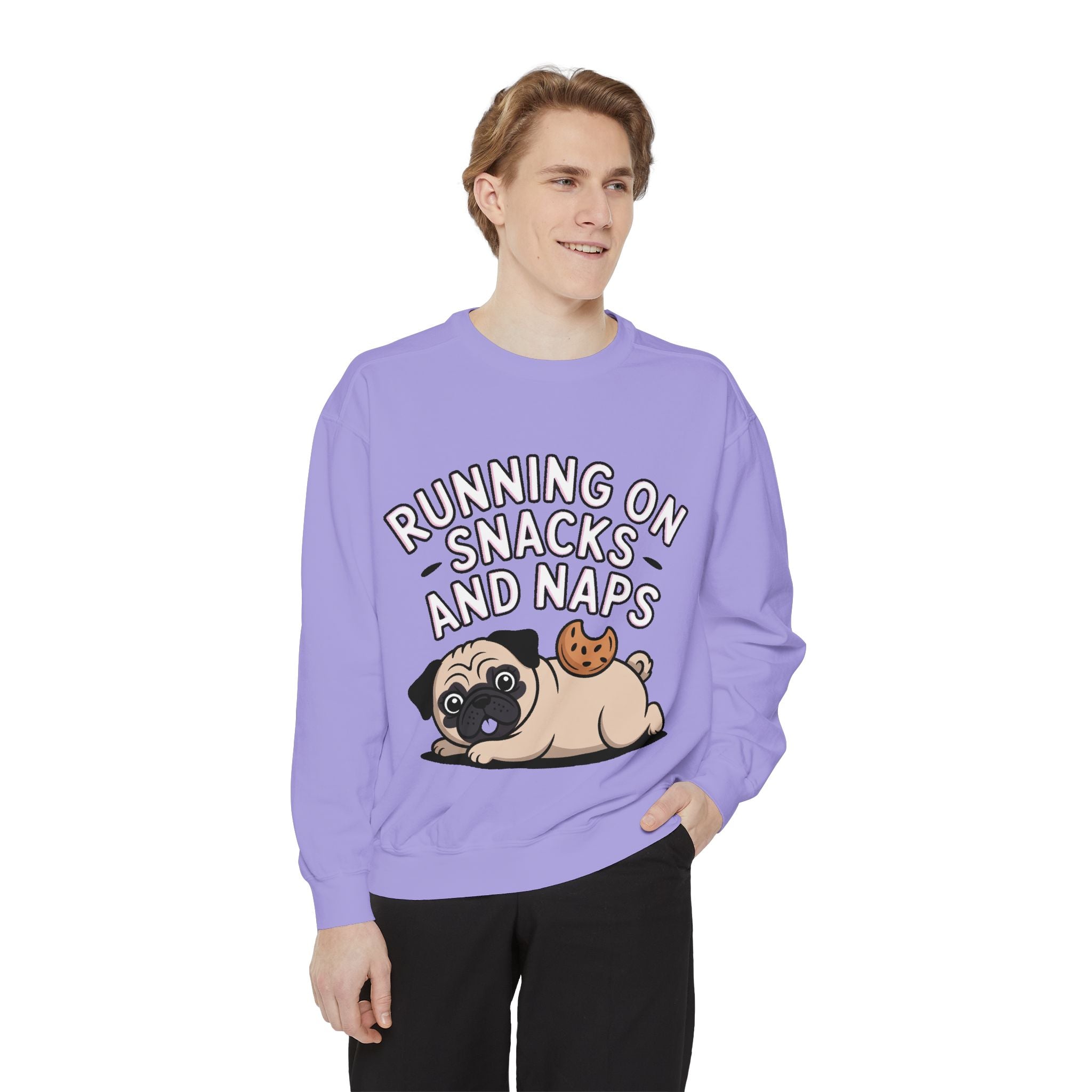 Pug Sweatshirt, Funny Running On Snacks And Naps Crewneck, Cute Pug Lover Gift, Embroidered Patch Style Dog Sweater