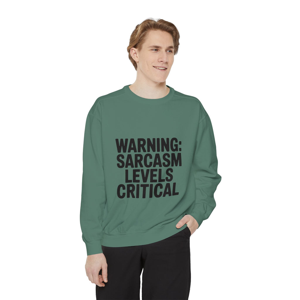 Warning Sarcasm Levels Critical Sweatshirt, Funny Embroidered Crewneck, Sarcastic Quote Pullover, Gift for Sarcastic Friend