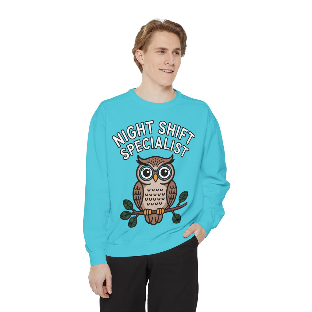 Night Shift Owl Sweatshirt, Funny Night Owl Crewneck, Night Shift Specialist Gift, Cute Bird Lover Sweatshirt, Nurse Gift
