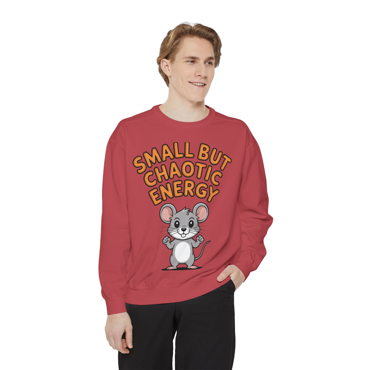 Small But Chaotic Energy Sweatshirt, Funny Mouse Crewneck, Cute Cartoon Mouse Sweatshirt, Embroidered Patch Style Gift