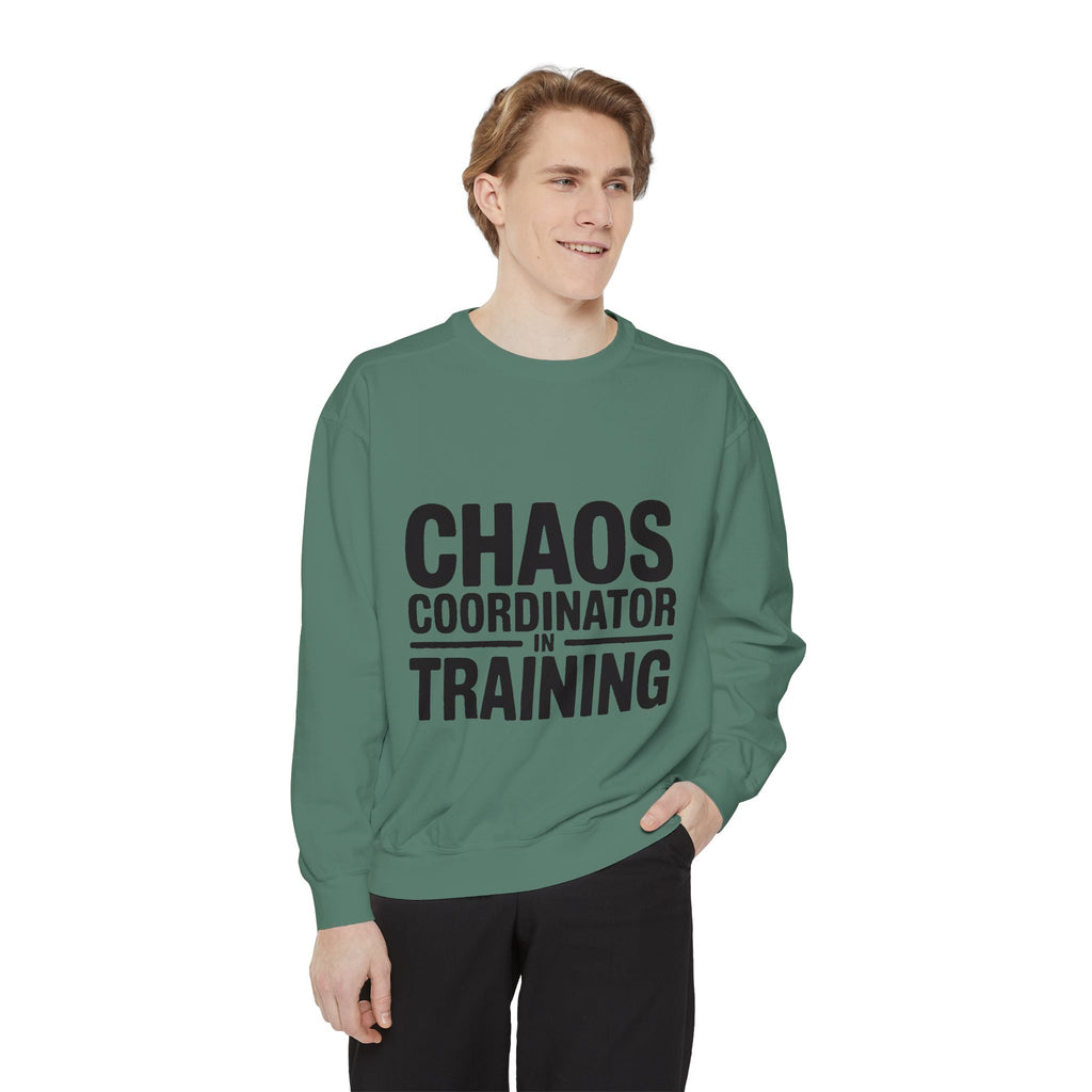 Chaos Coordinator In Training Sweatshirt, Funny Mom Crewneck, Embroidered Style Bold Text Sweatshirt, Teacher Nurse Gift