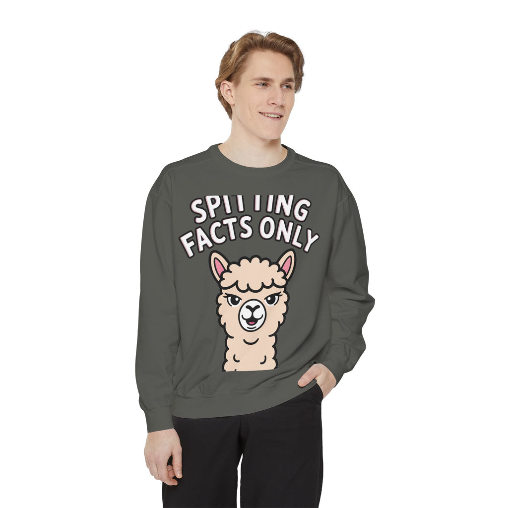 Alpaca Spitting Facts Sweatshirt, Funny Sassy Alpaca Crewneck, Cute Embroidered-Style Animal Sweatshirt, Alpaca Lover Gift