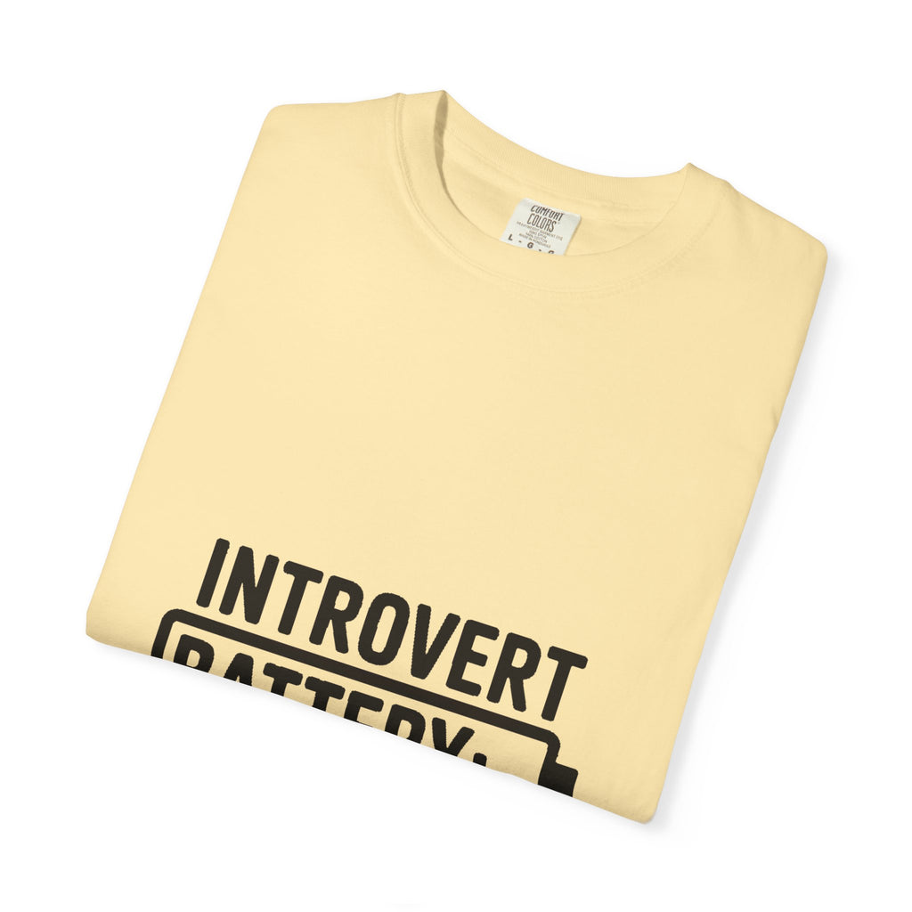 Introvert Battery Low Shirt, Funny Introvert Battery 12% Tee, Social Anxiety Humor T-Shirt, Sarcastic Gift for Introverts