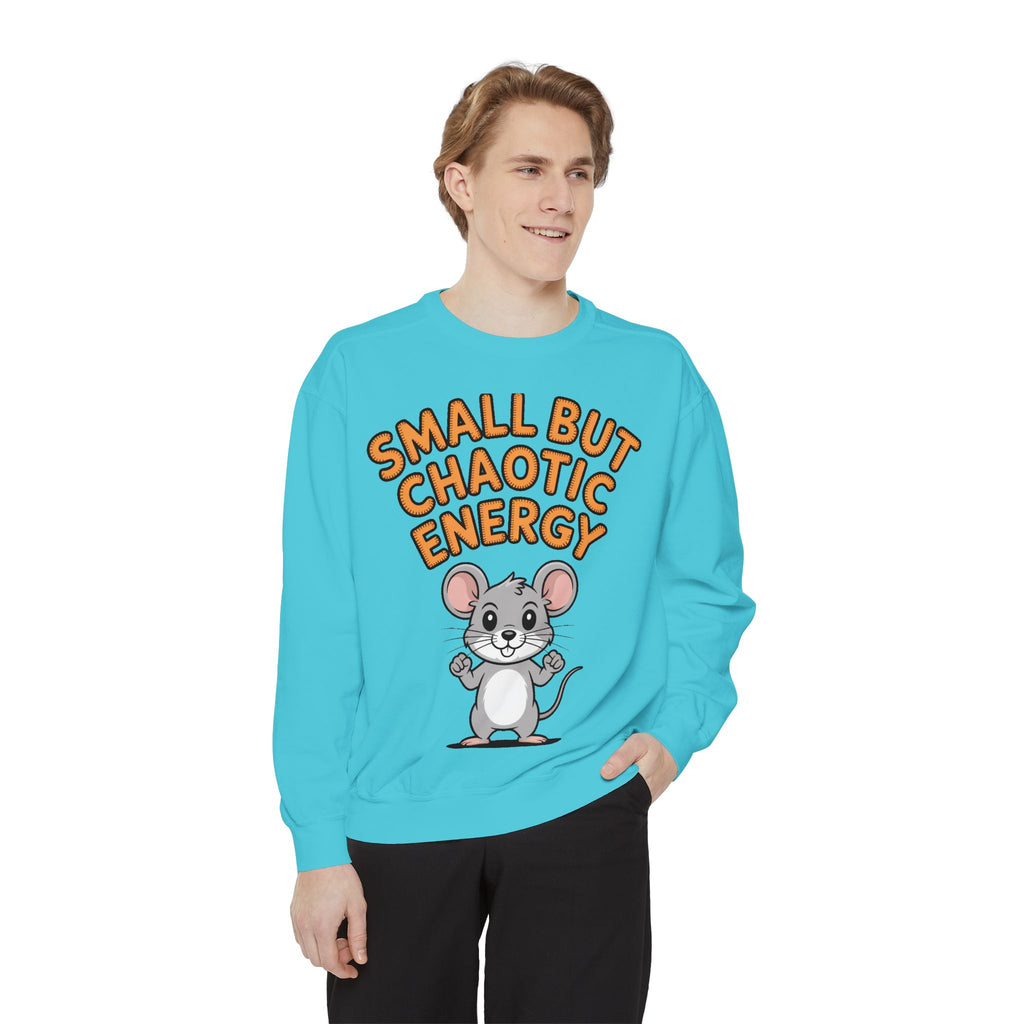 Small But Chaotic Energy Sweatshirt, Funny Mouse Crewneck, Cute Cartoon Mouse Sweatshirt, Embroidered Patch Style Gift