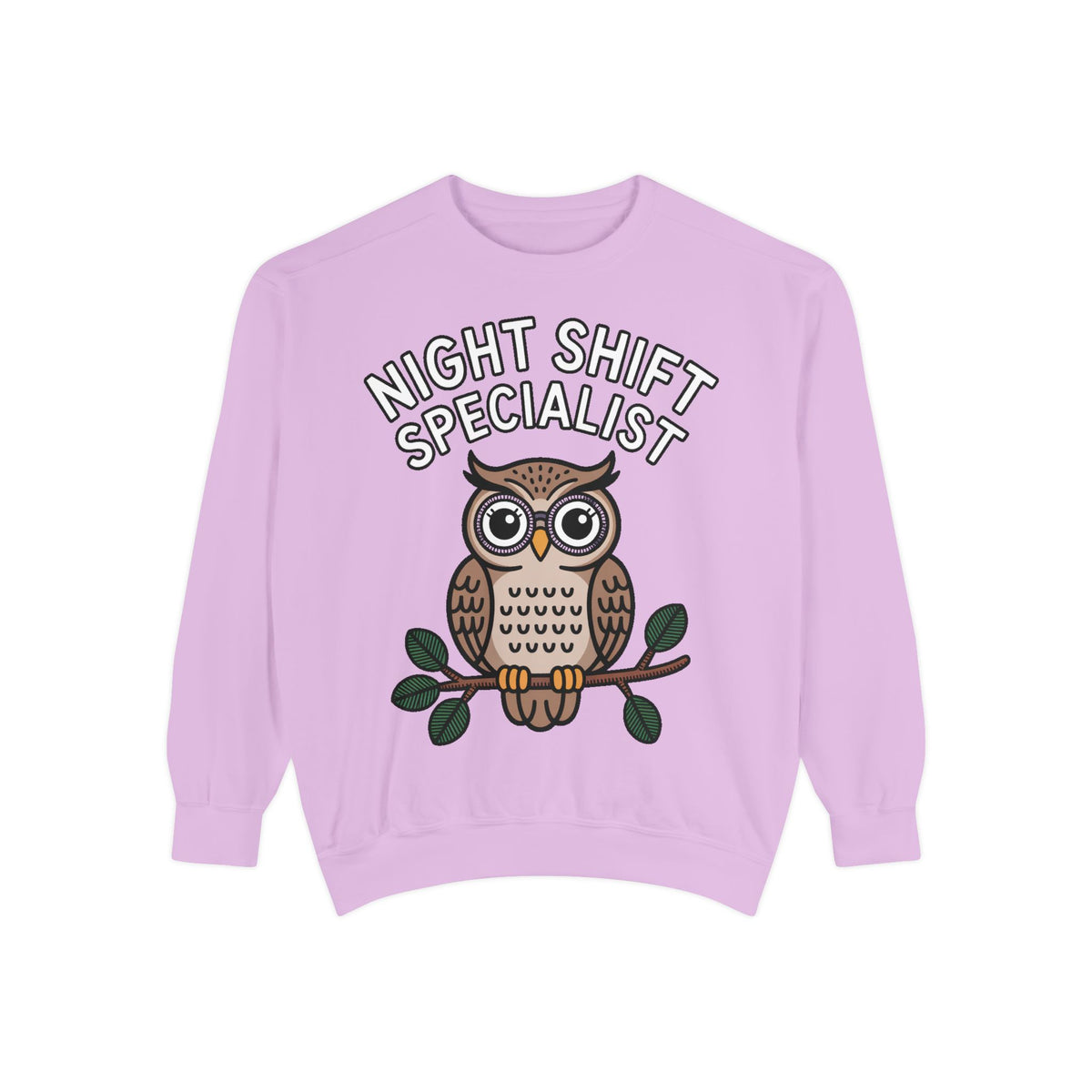 Night Shift Owl Sweatshirt, Funny Night Owl Crewneck, Night Shift Specialist Gift, Cute Bird Lover Sweatshirt, Nurse Gift