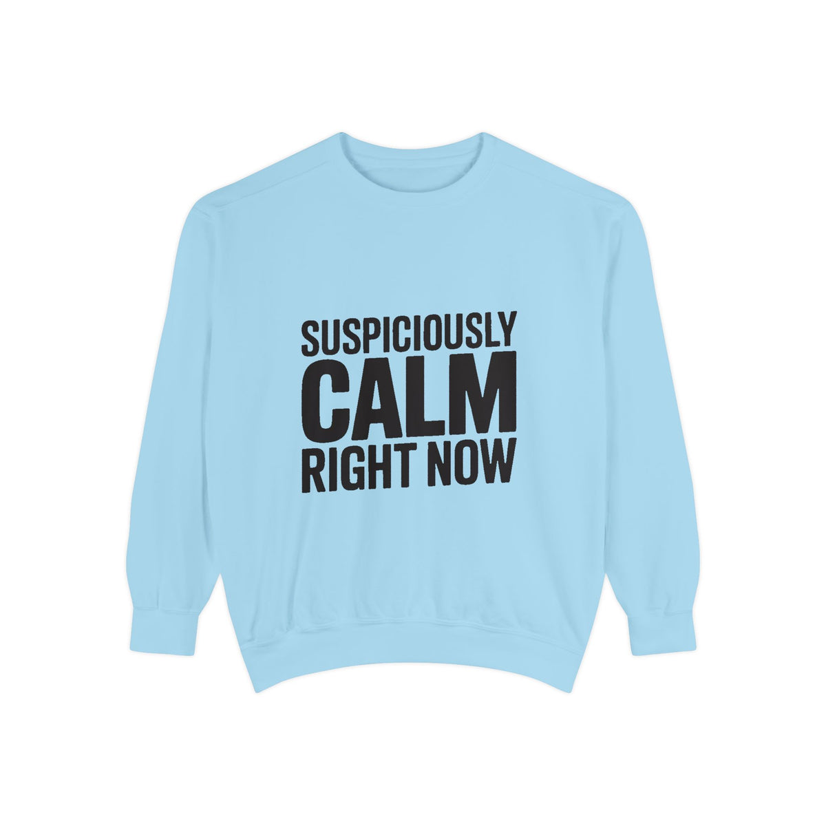 Suspiciously Calm Right Now Sweatshirt, Funny Sarcastic Crewneck, Bold Text Embroidered Patch Style Pullover, Sarcasm Gift