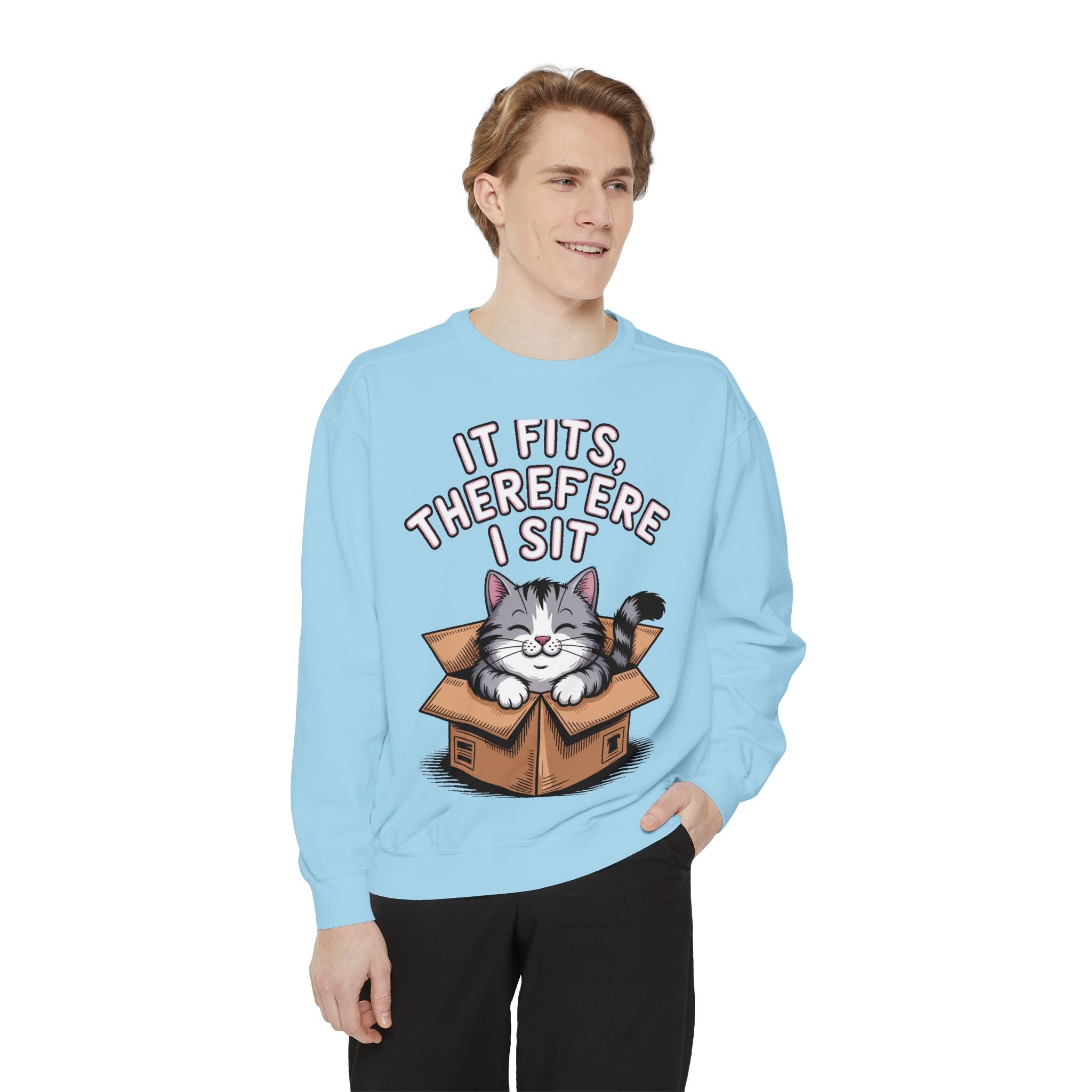 Funny Cat Sweatshirt, It Fits Therefore I Sit Crewneck, Cat In Box Embroidered Sweatshirt, Cat Lover Gift, Funny Cat Lover Sweater