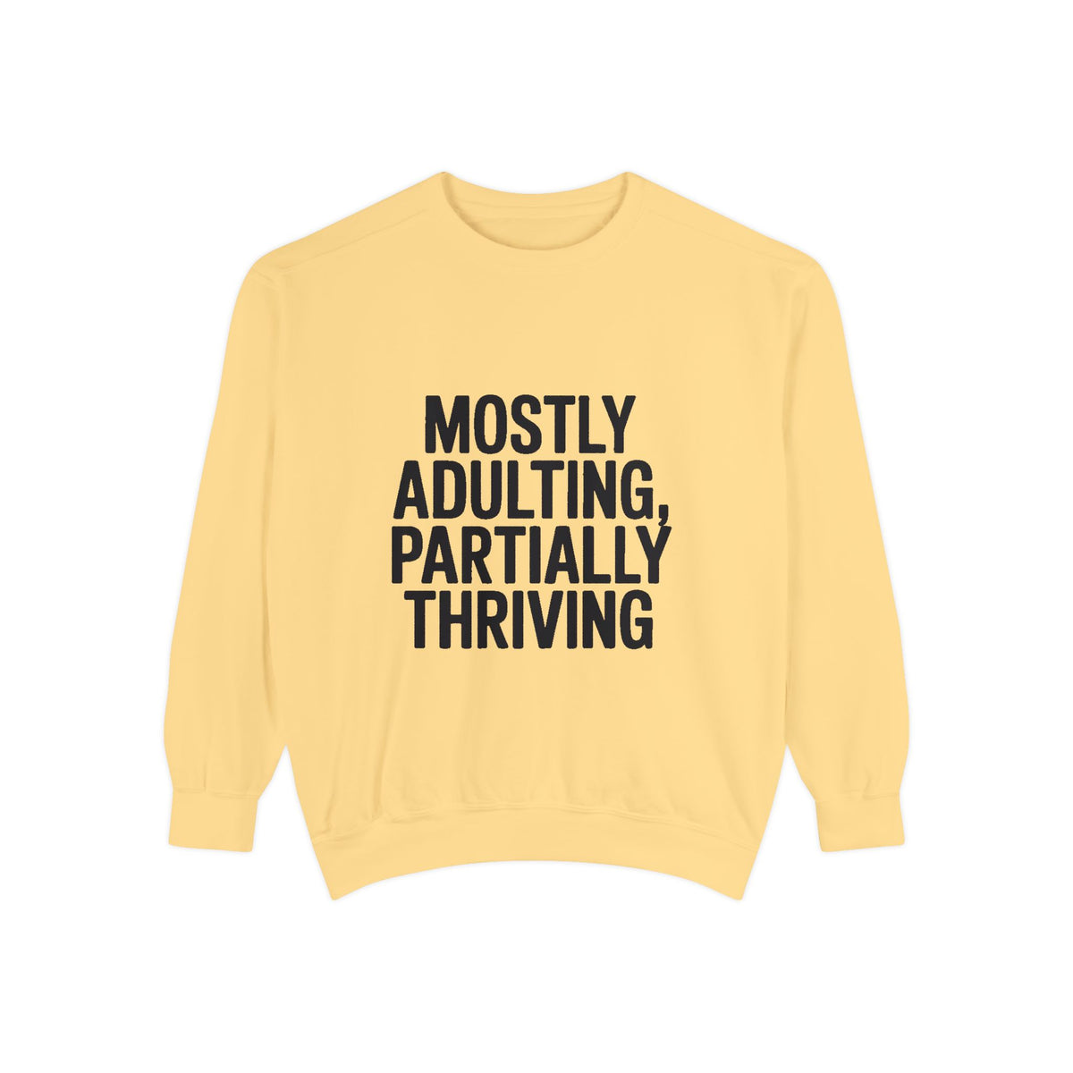 Mostly Adulting Partially Thriving Sweatshirt, Funny Embroidered Crewneck, Sarcastic Adult Life Sweatshirt, Trendy Minimalist Gift
