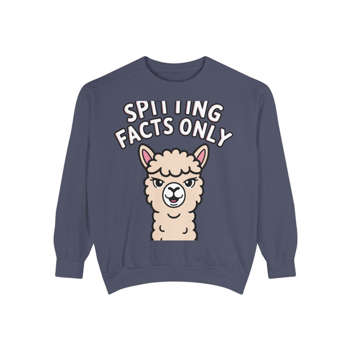Alpaca Spitting Facts Sweatshirt, Funny Sassy Alpaca Crewneck, Cute Embroidered-Style Animal Sweatshirt, Alpaca Lover Gift