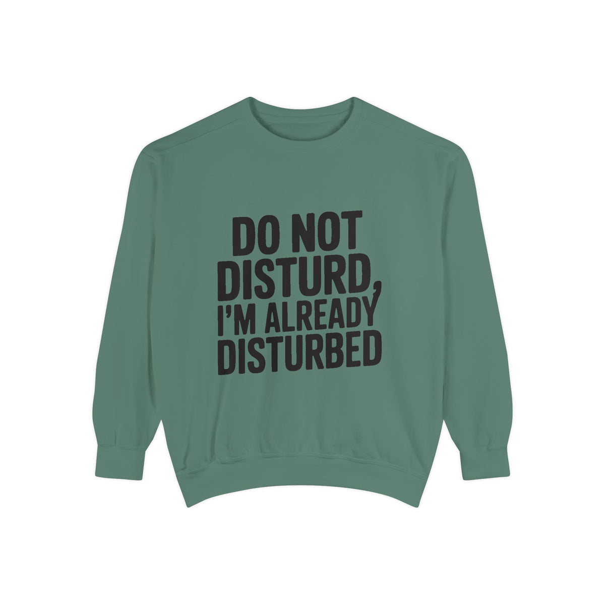 Do Not Disturb Already Disturbed Sweatshirt, Funny Sarcastic Crewneck, Embroidered Patch Style Pullover, Introvert Gift