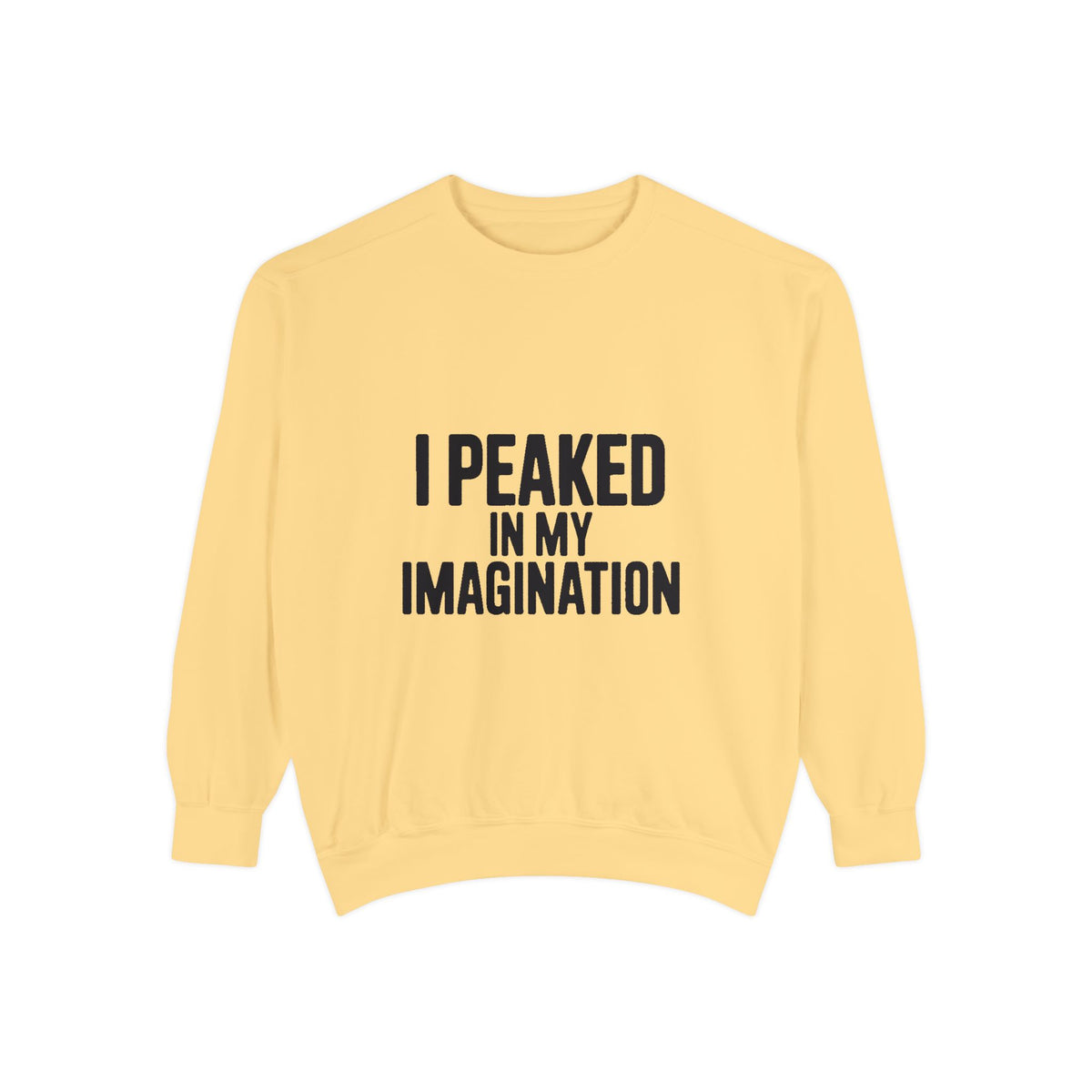 I Peaked In My Imagination Sweatshirt, Funny Sarcastic Crewneck, Bold Typography Embroidered Sweatshirt, Daydreamer Gift