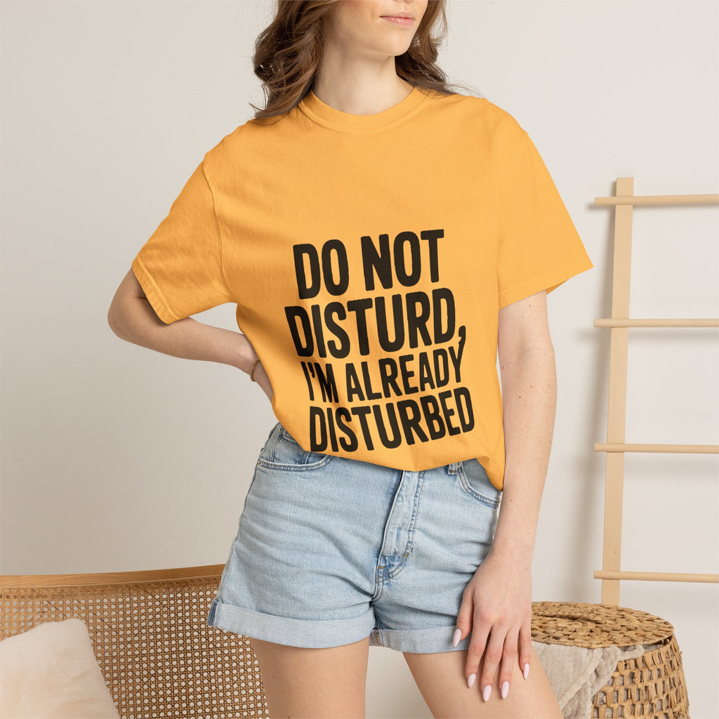 Do Not Disturb Already Disturbed Shirt, Funny Sarcastic T-Shirt, Introvert Humor Tee, Weird Mood Gift