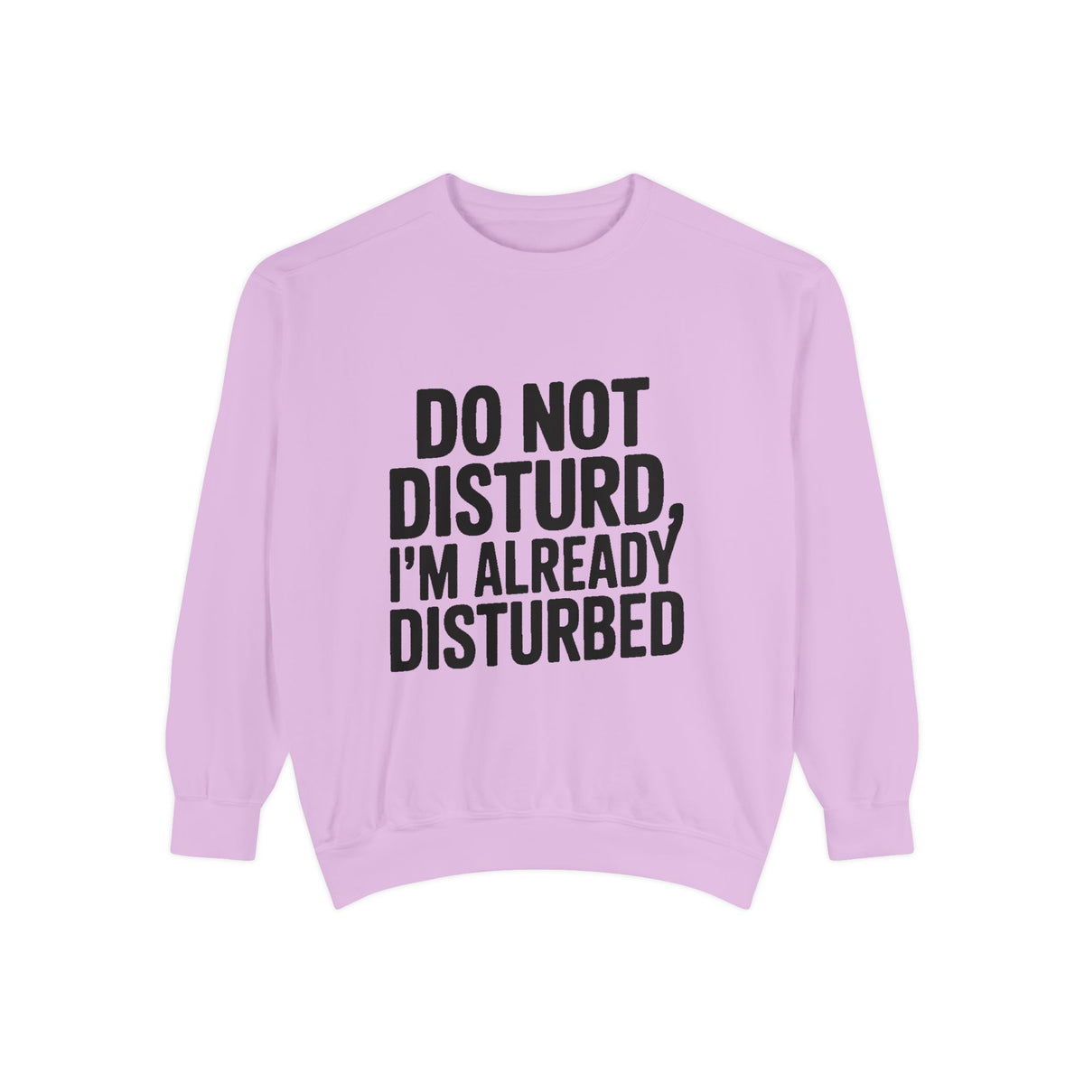 Do Not Disturb Already Disturbed Sweatshirt, Funny Sarcastic Crewneck, Embroidered Patch Style Pullover, Introvert Gift