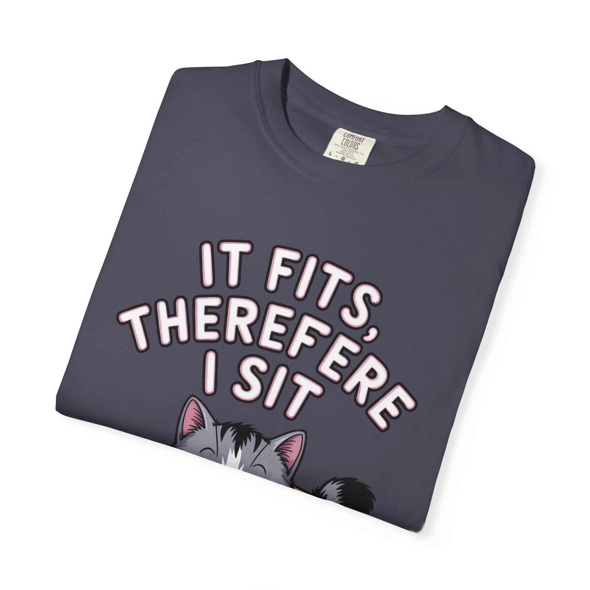 It Fits Therefore I Sit Cat Shirt, Funny Cat In Box T-Shirt, Cute Chubby Cat Lover Gift, Cat Owner Shirt, Funny Cat Meme Tee