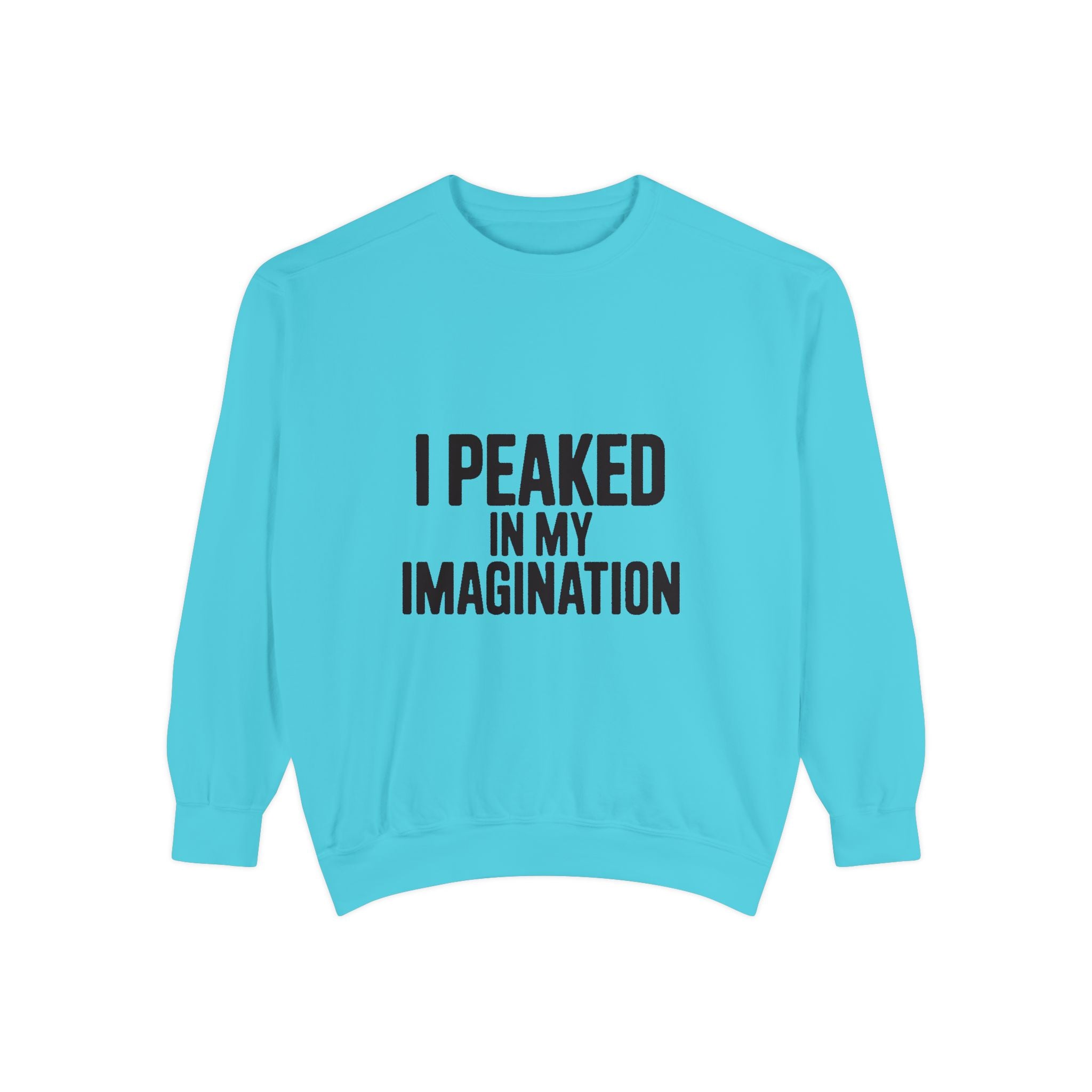 I Peaked In My Imagination Sweatshirt, Funny Sarcastic Crewneck, Bold Typography Embroidered Sweatshirt, Daydreamer Gift