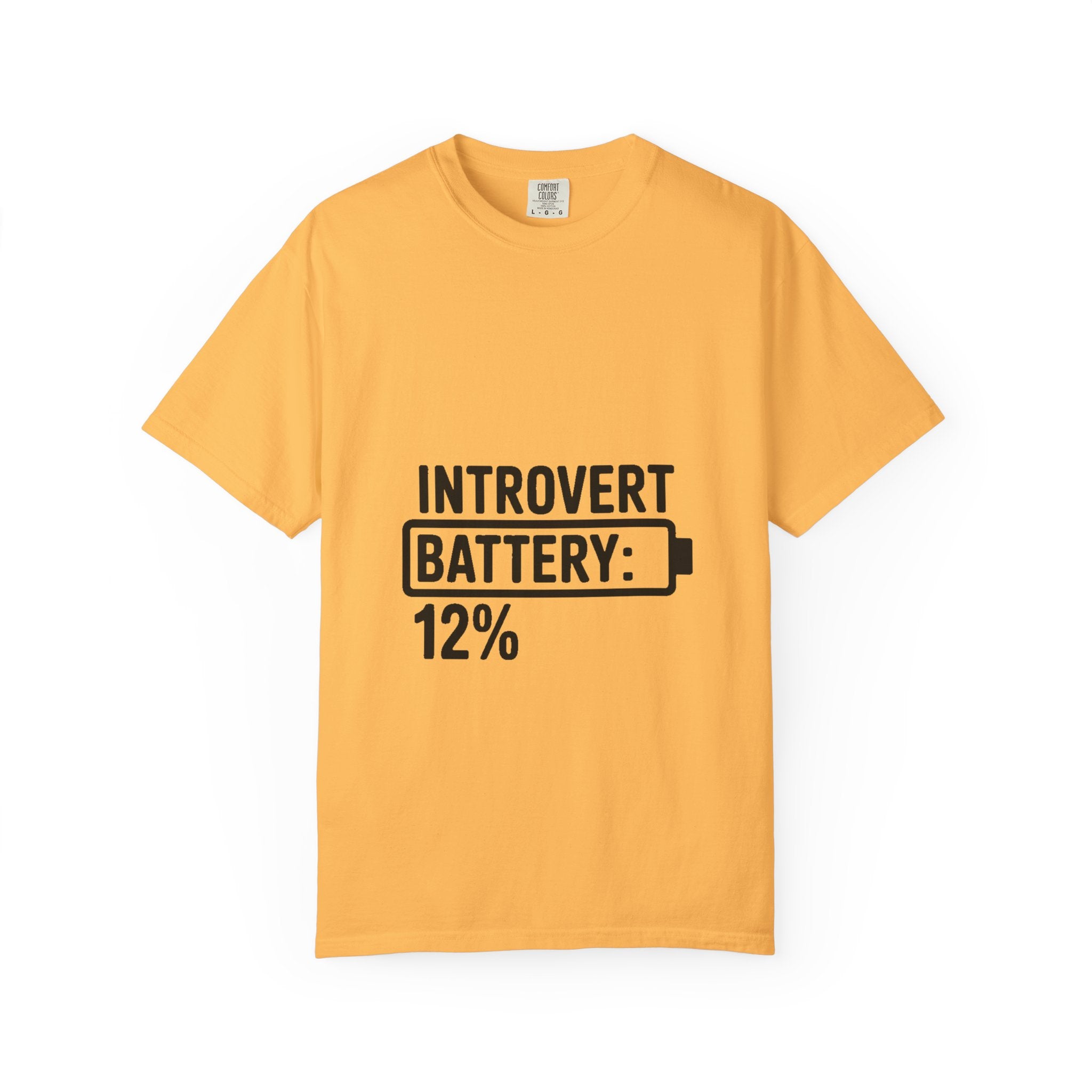Introvert Battery Low Shirt, Funny Introvert Battery 12% Tee, Social Anxiety Humor T-Shirt, Sarcastic Gift for Introverts