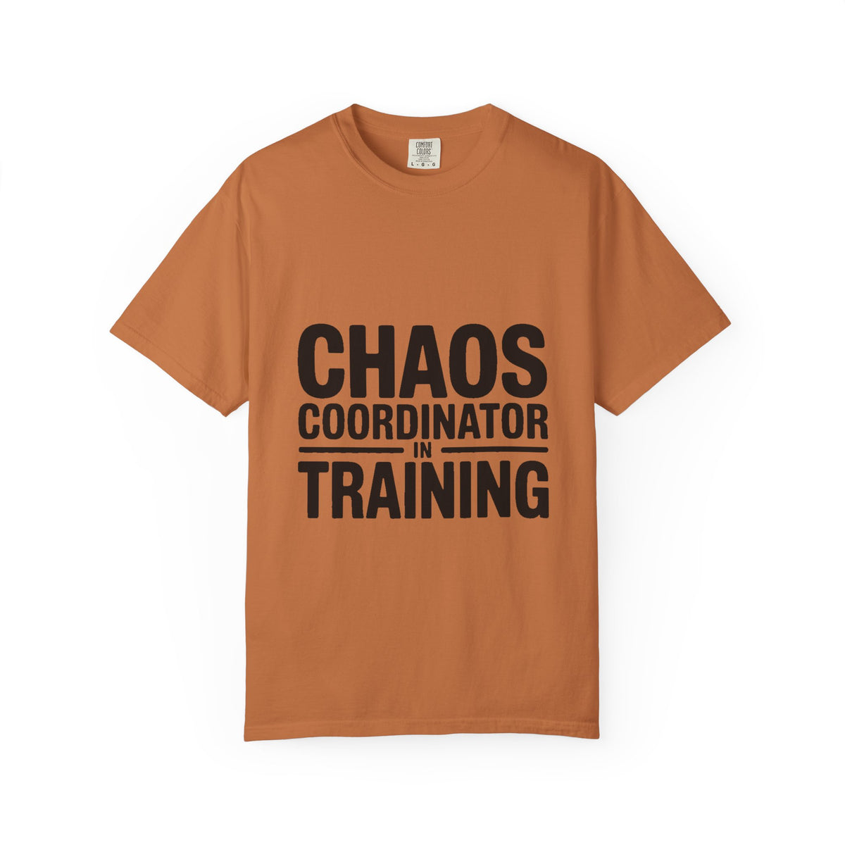 Chaos Coordinator In Training Shirt, Funny Bold Typography Tee, Sarcastic Mom Life T-Shirt, Gift for New Parents or Teachers