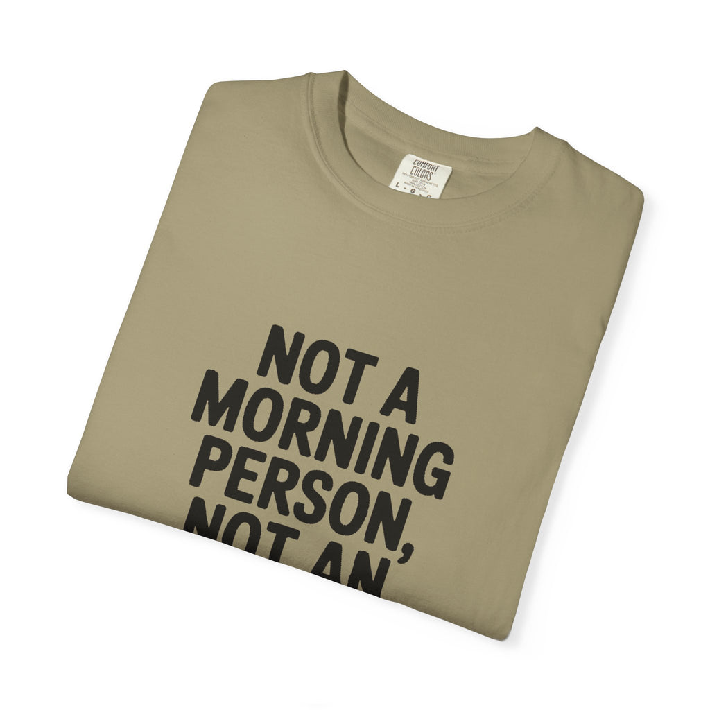 Not A Morning Person Shirt, Funny Sarcastic T-Shirt, Not An Afternoon Person Either Tee, Anti Social Gift
